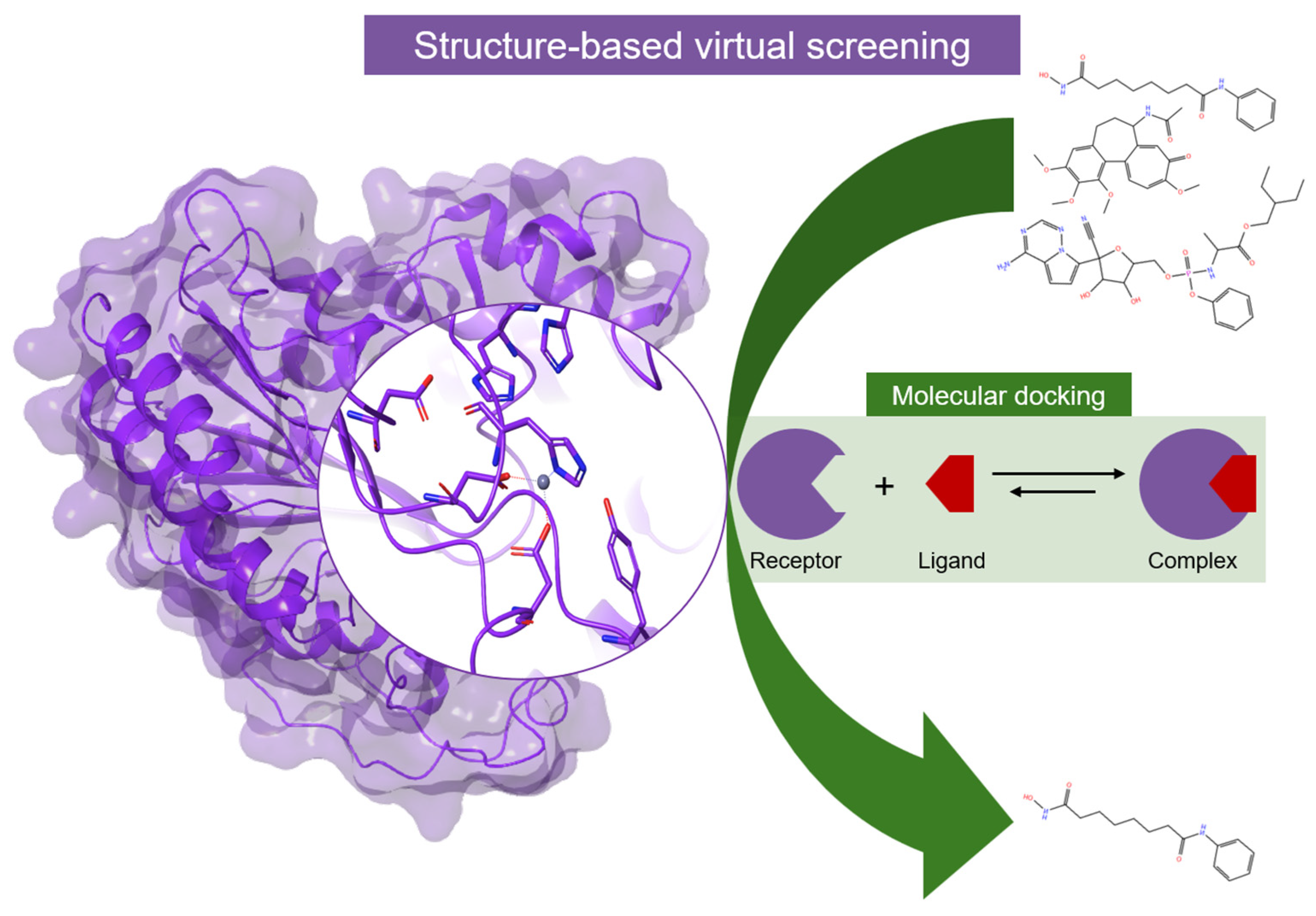 Pharmaceuticals 17 00620 g010