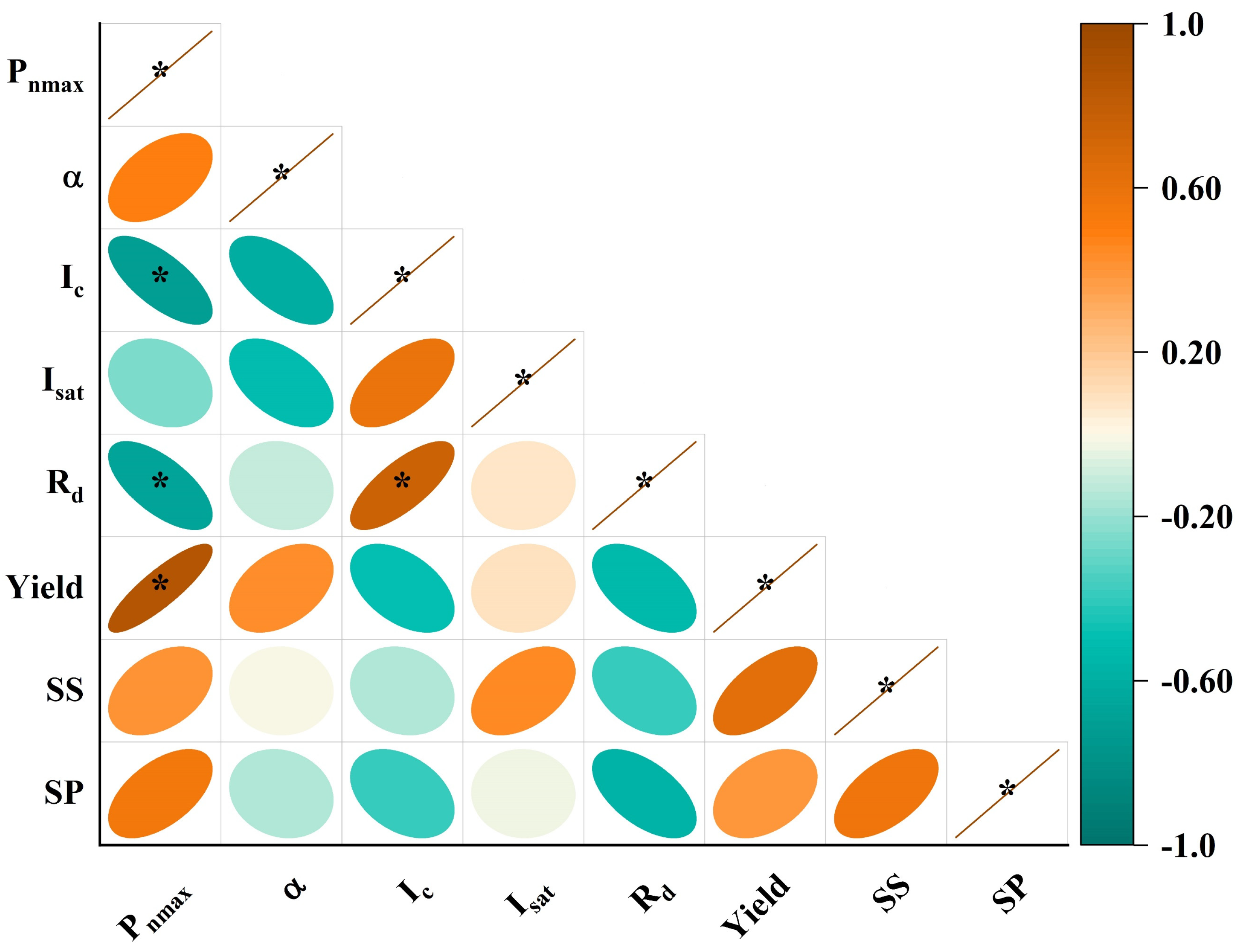 Plants 13 01308 g005