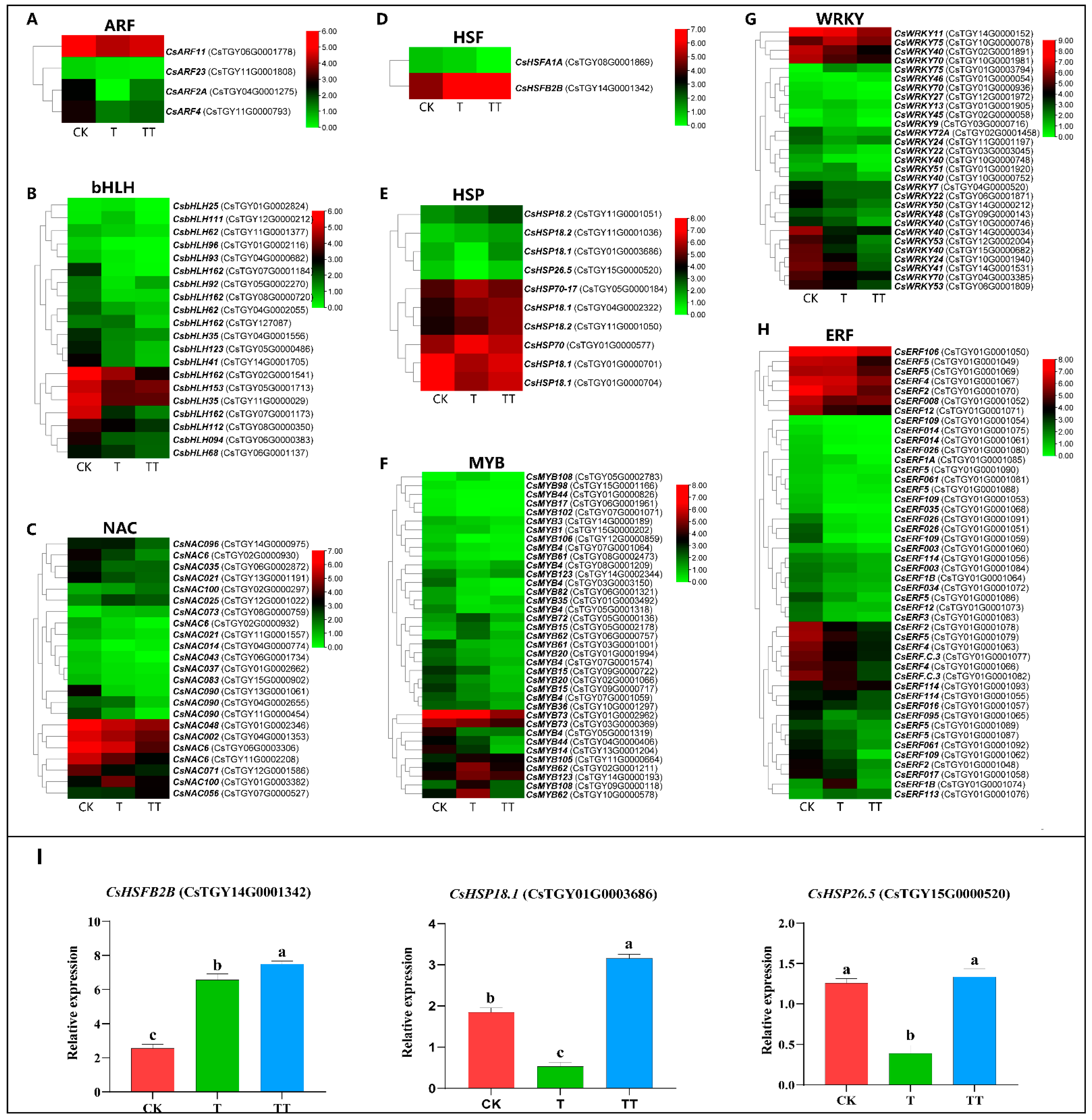 Plants 13 01339 g005