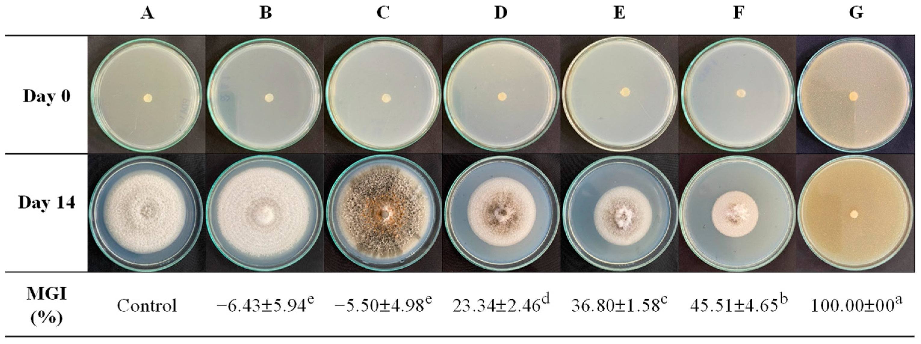 Polymers 16 01375 g001