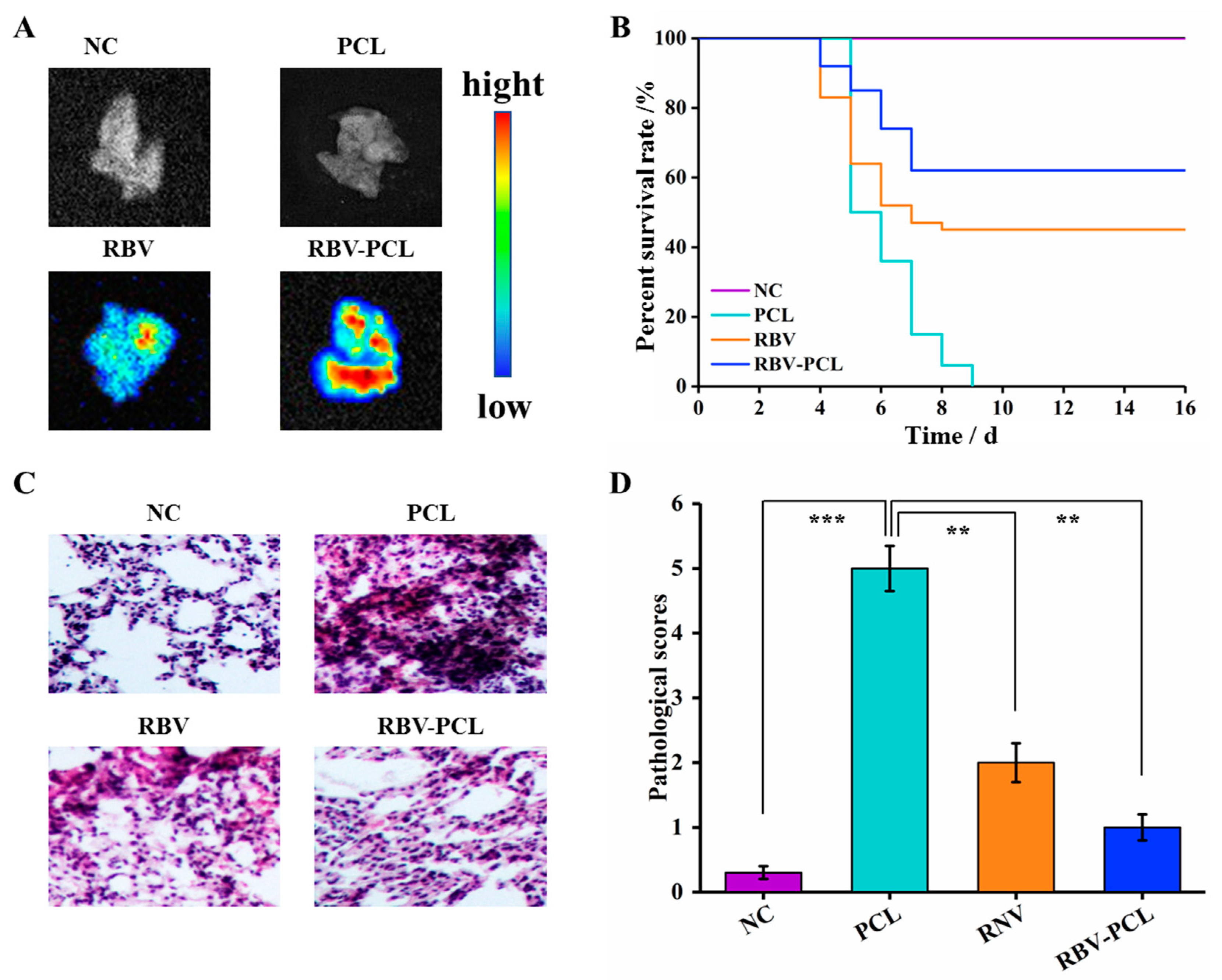 Polymers 16 01384 g005