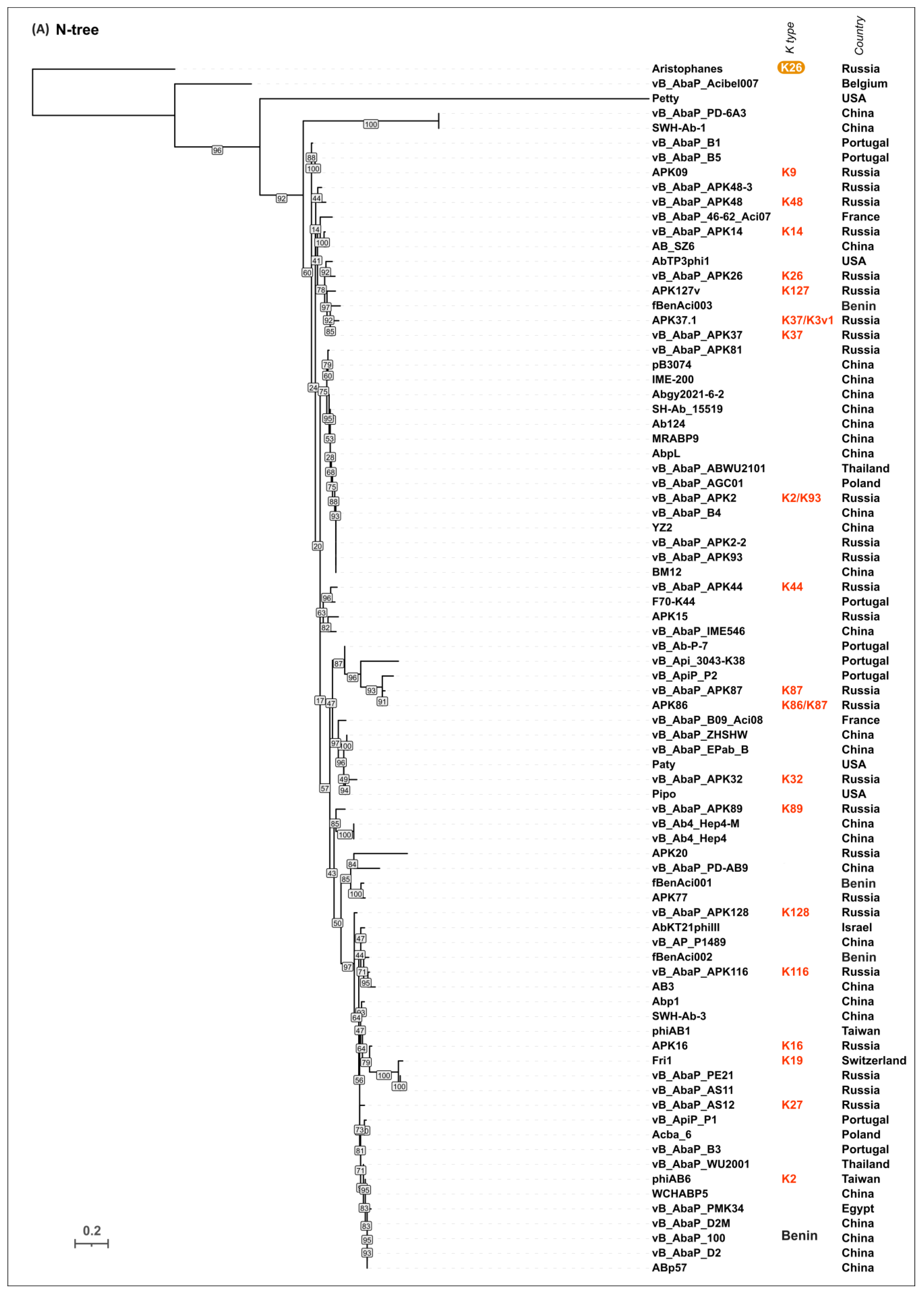 Viruses 16 00771 g006a