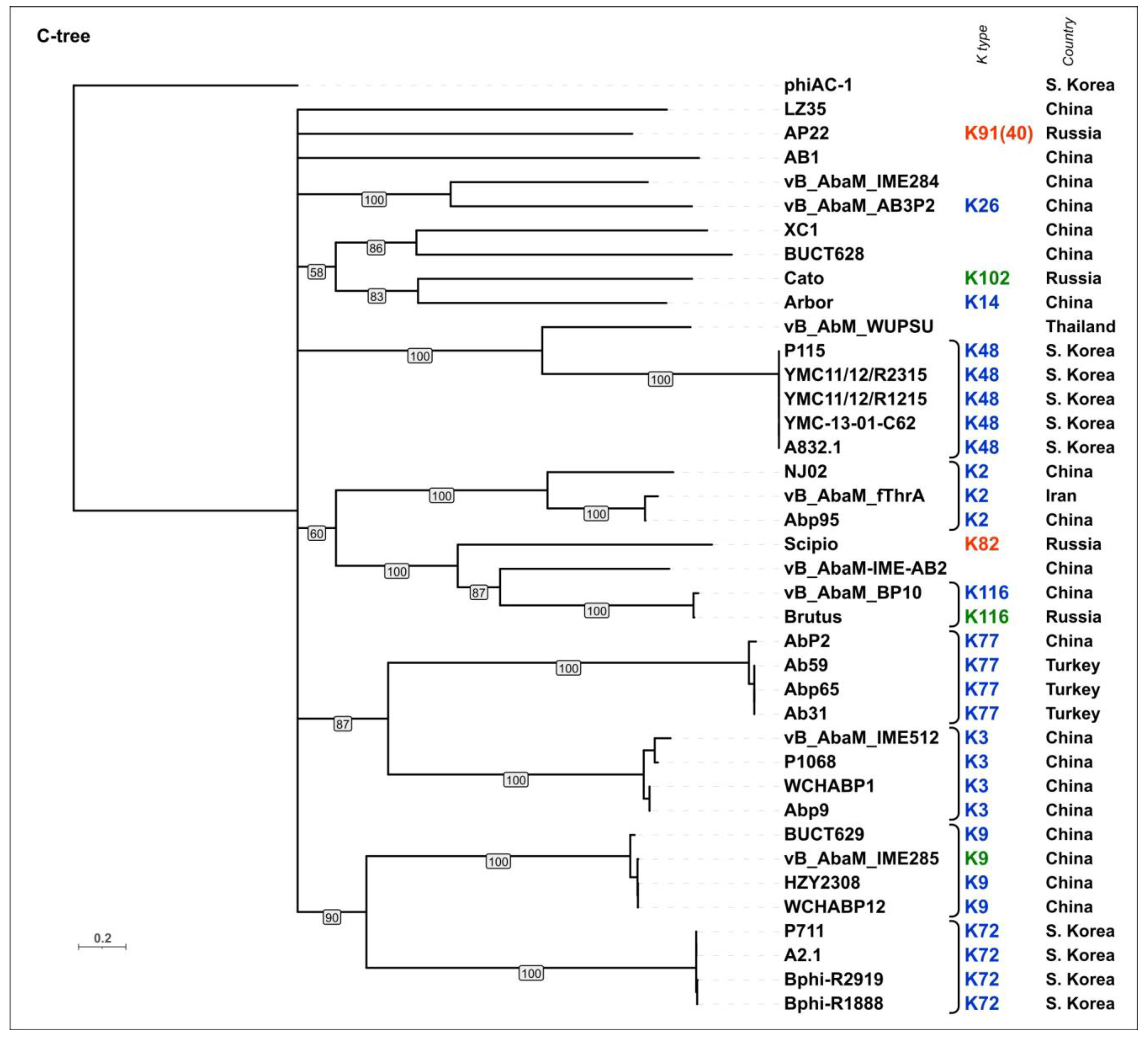 Viruses 16 00771 g009
