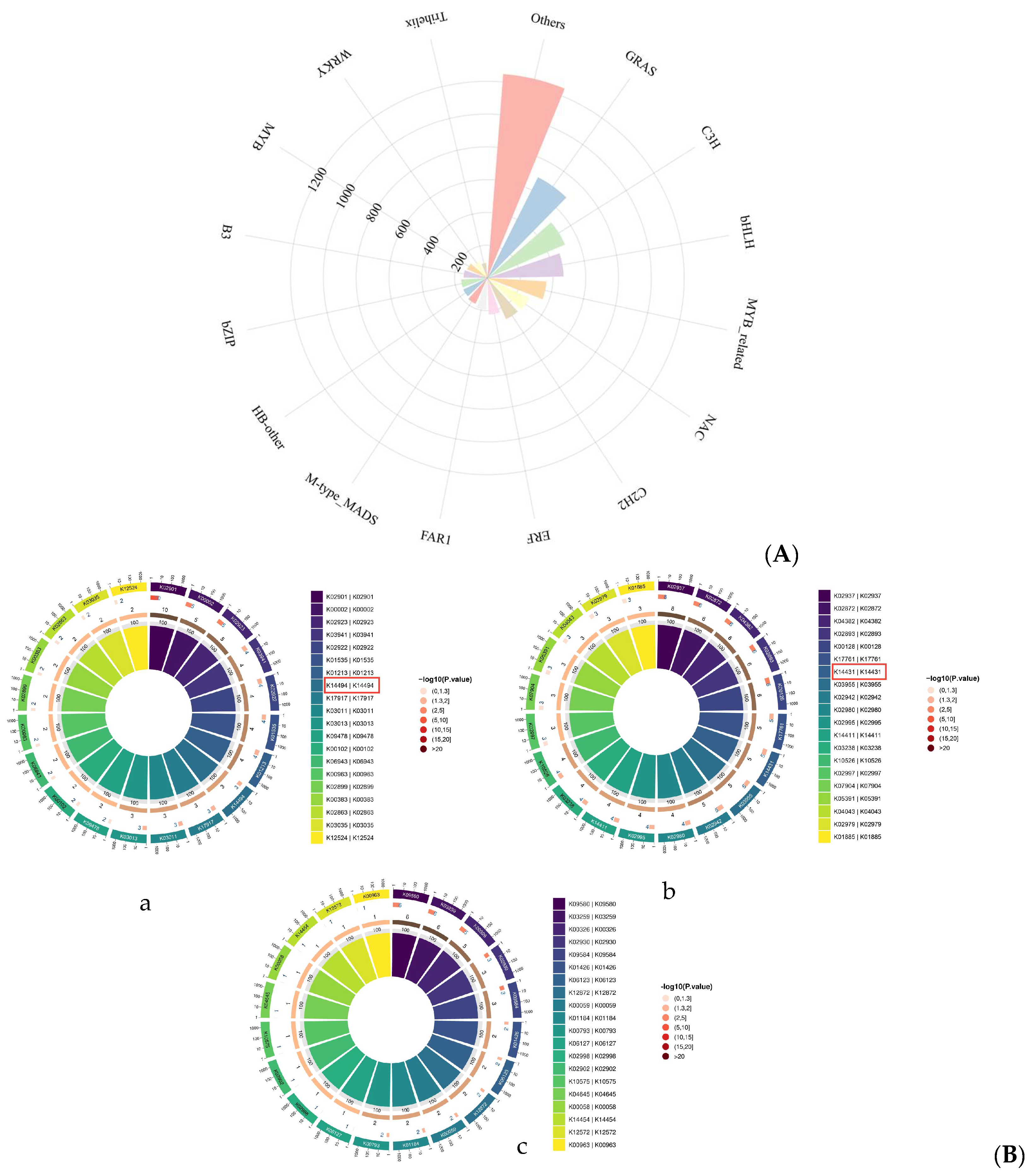 Agronomy 14 01037 g008