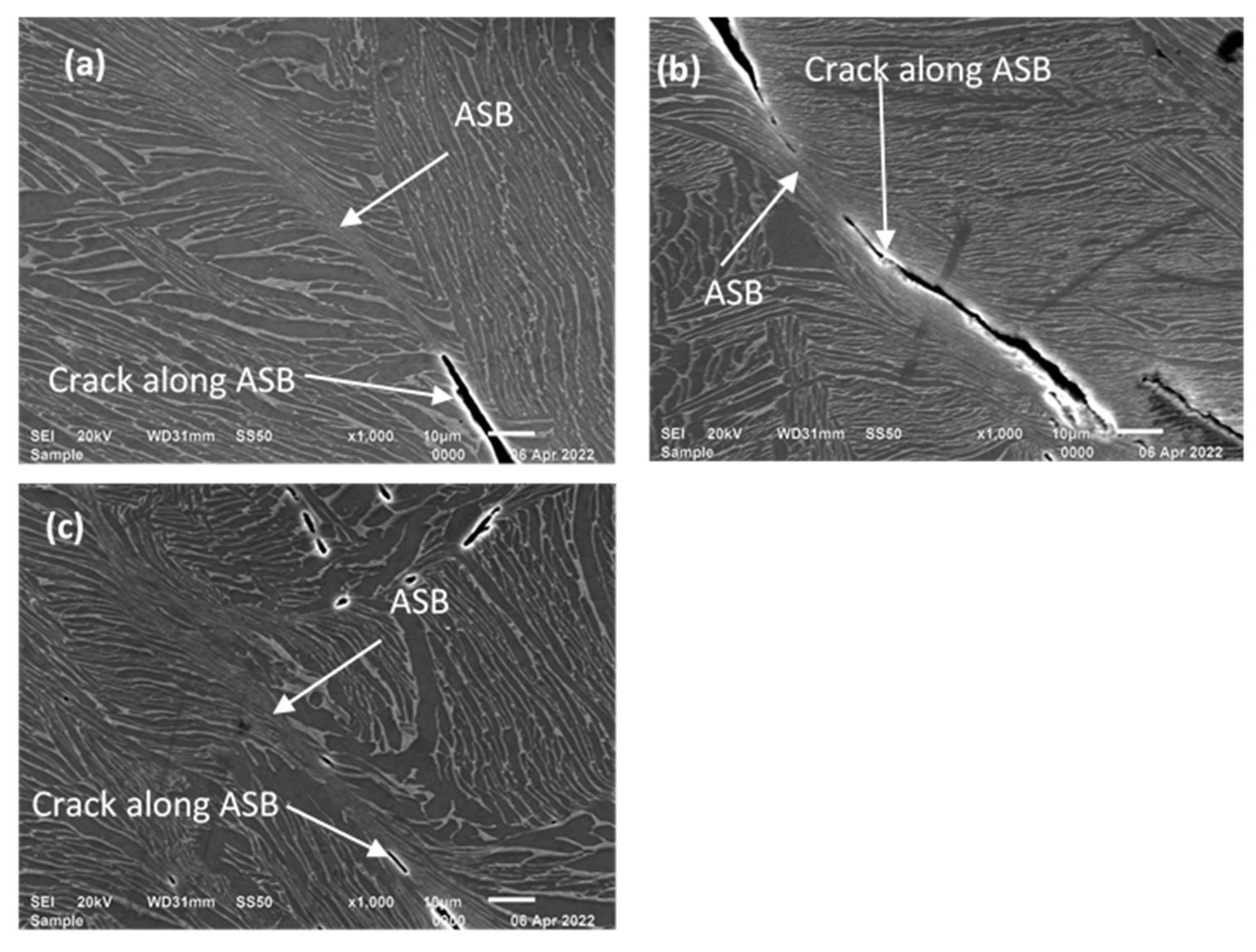 Applsci 14 04261 g013