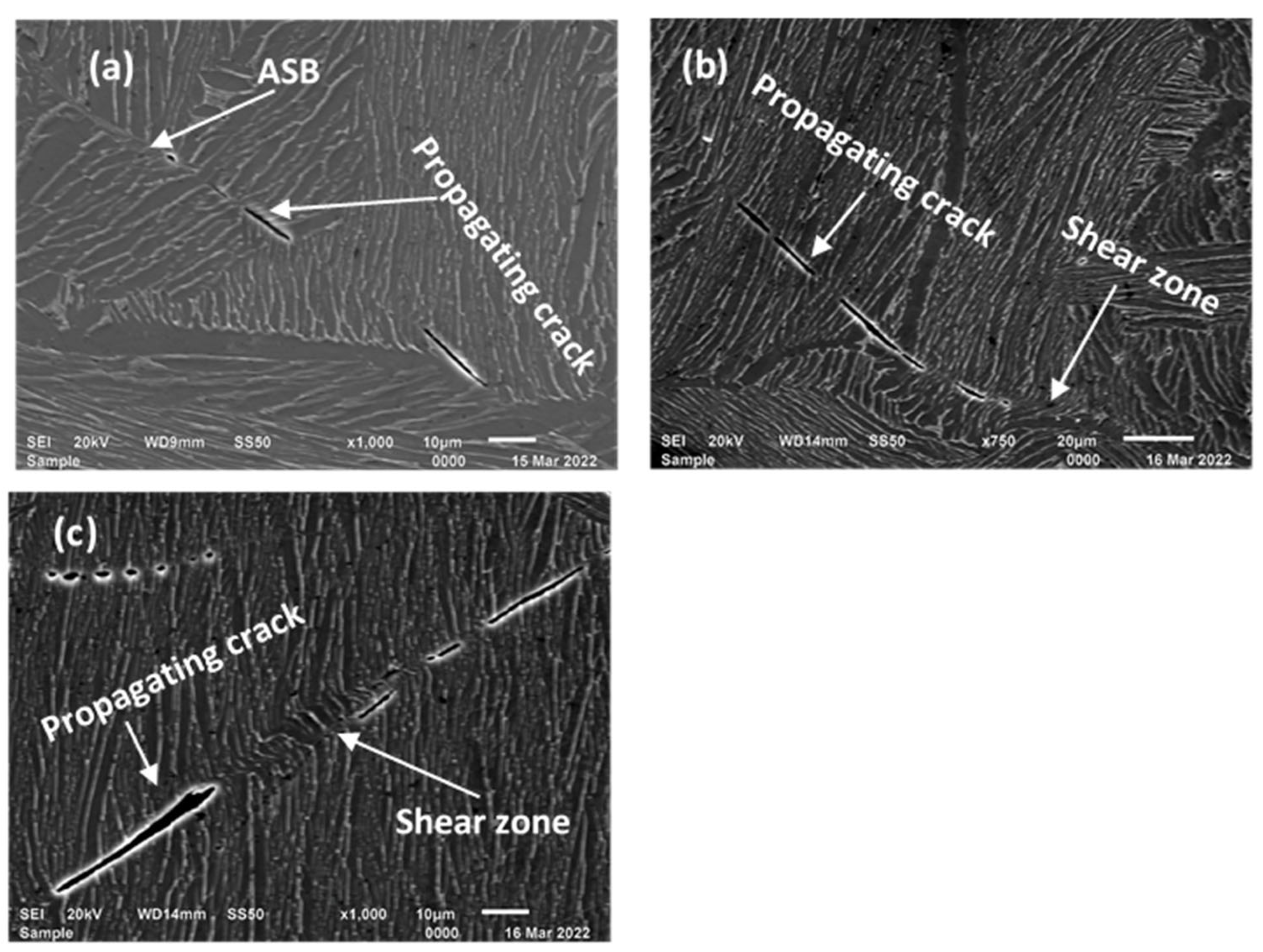 Applsci 14 04261 g016