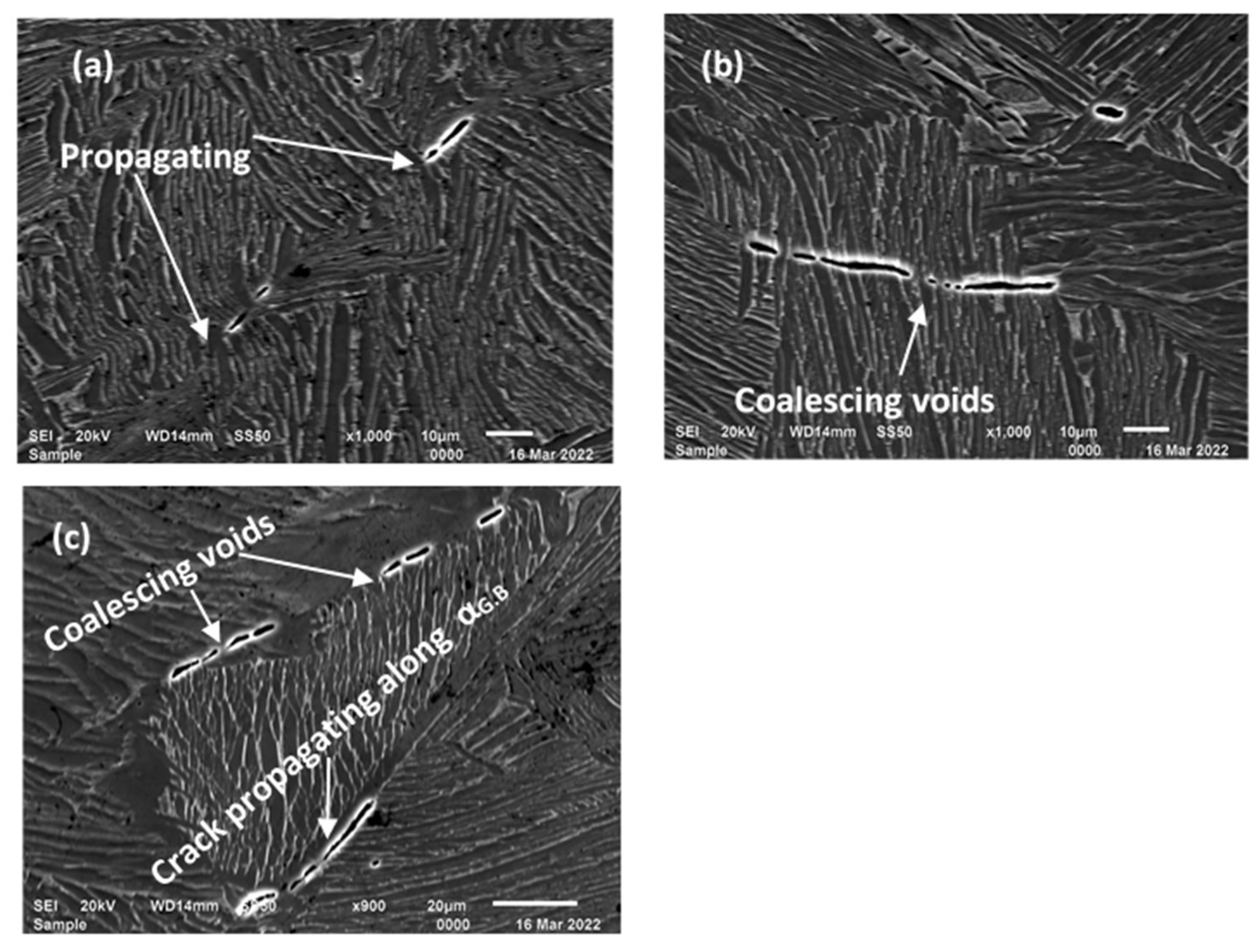 Applsci 14 04261 g019