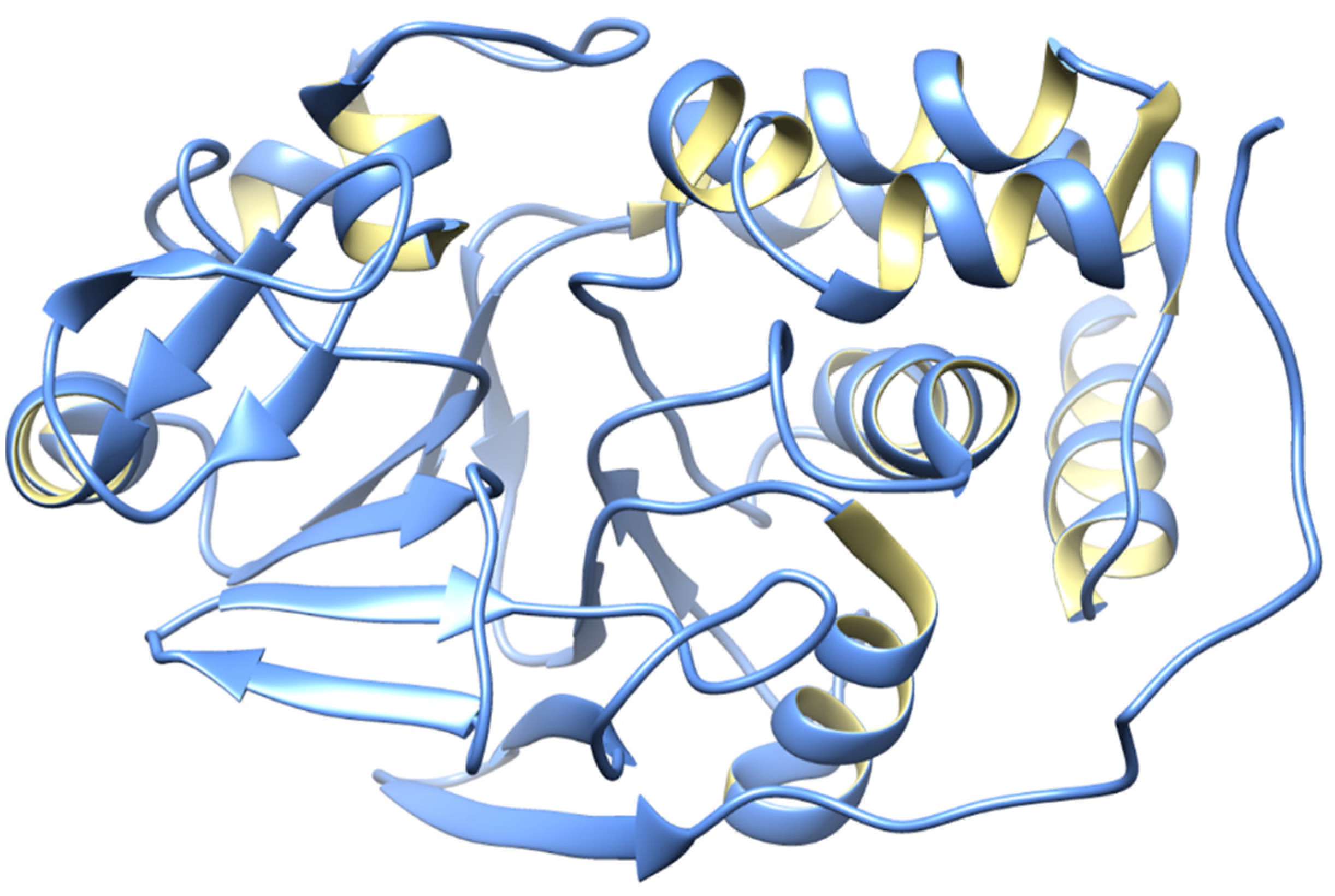 Biomedicines 12 01097 g002