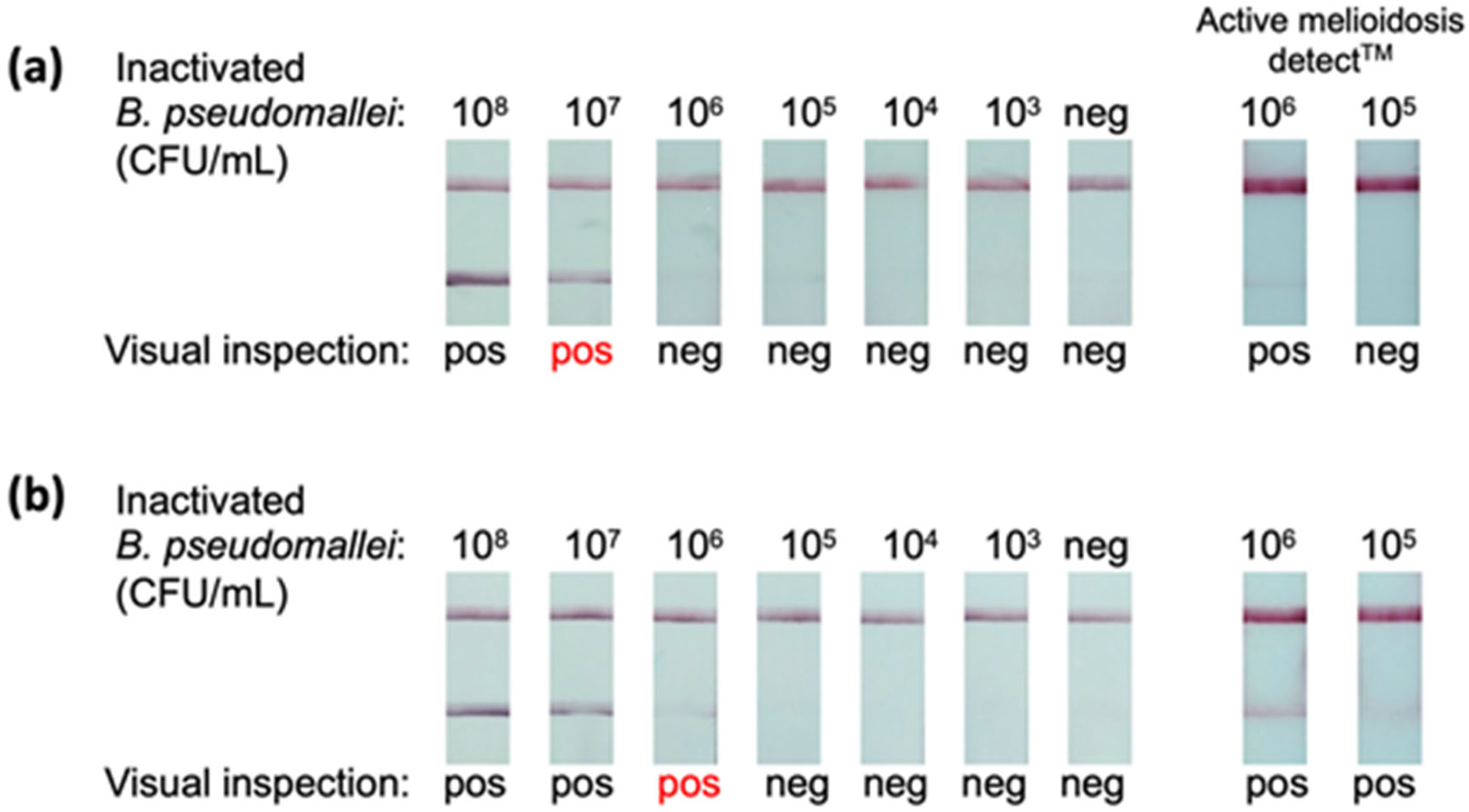 Diagnostics 14 01033 g004