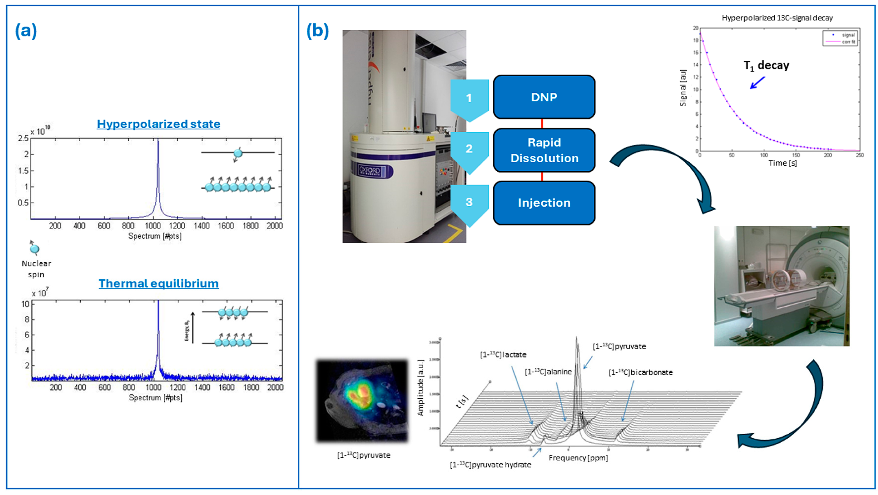 Diagnostics 14 01035 g001