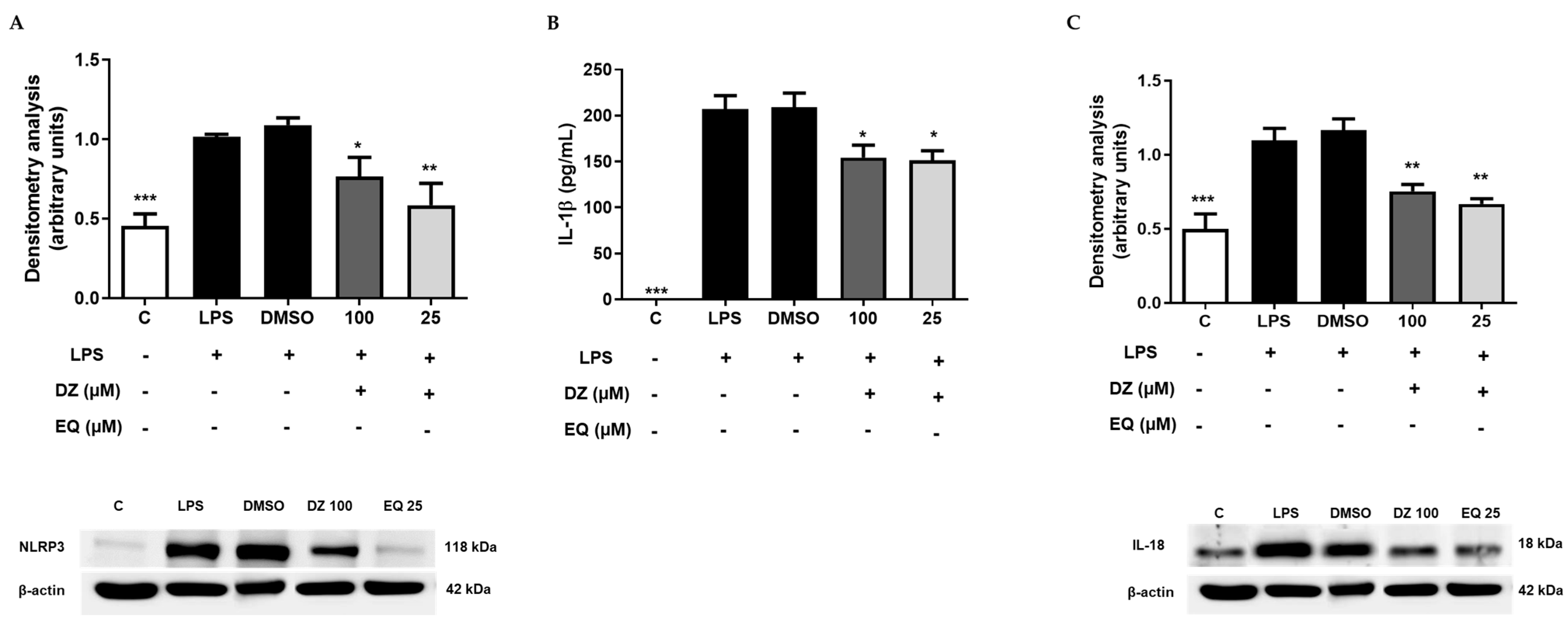 Pharmaceuticals 17 00647 g006