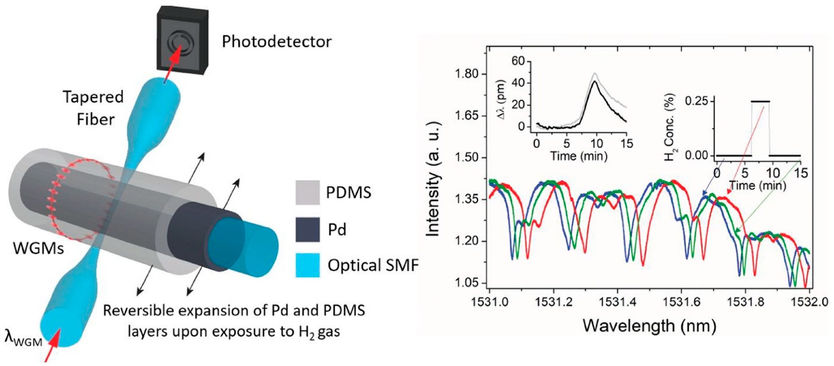 Sensors 24 03146 g019