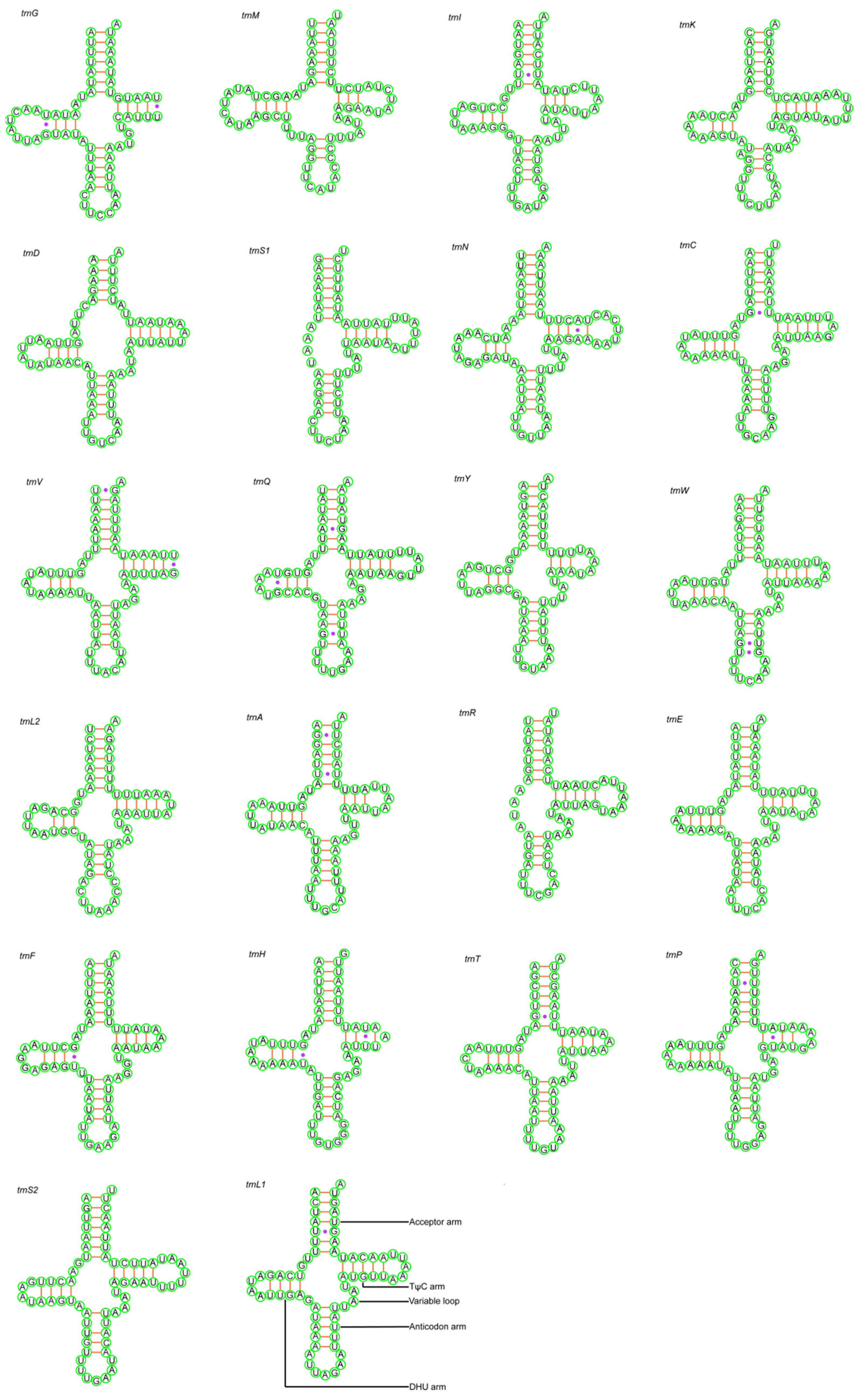 Animals 14 01454 g004