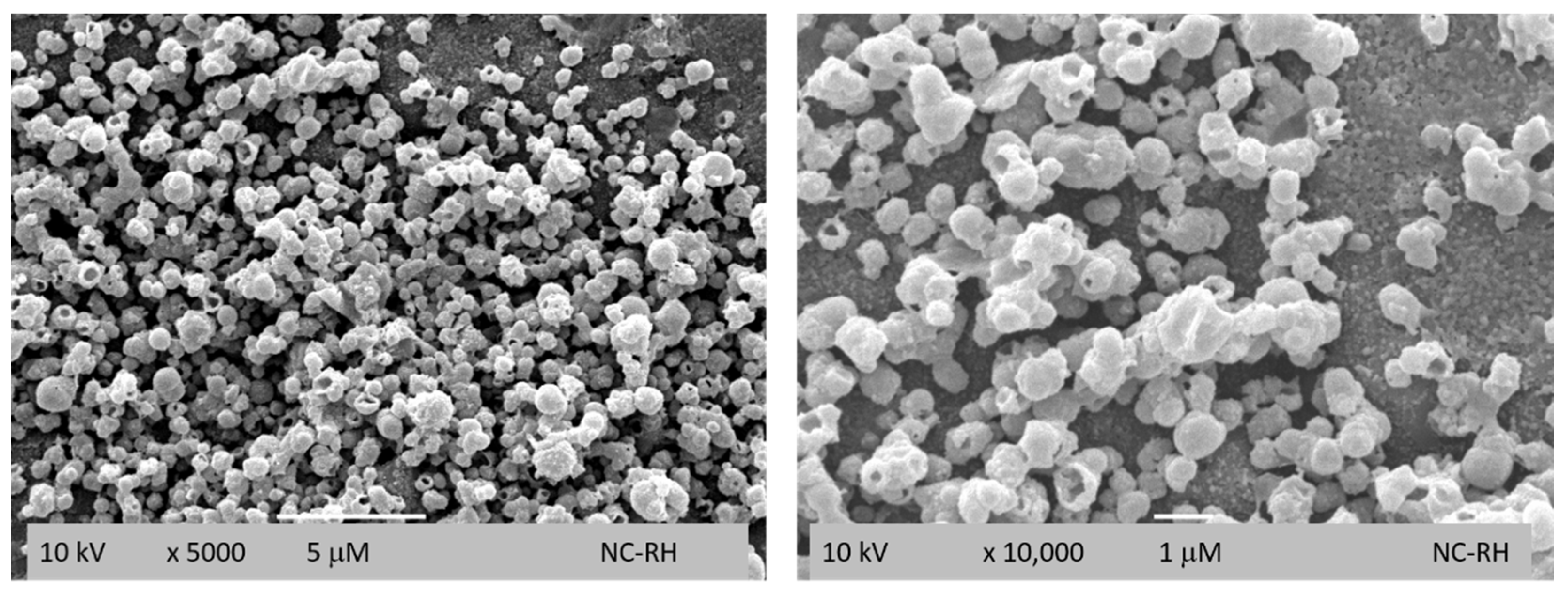 Applsci 14 04276 g001