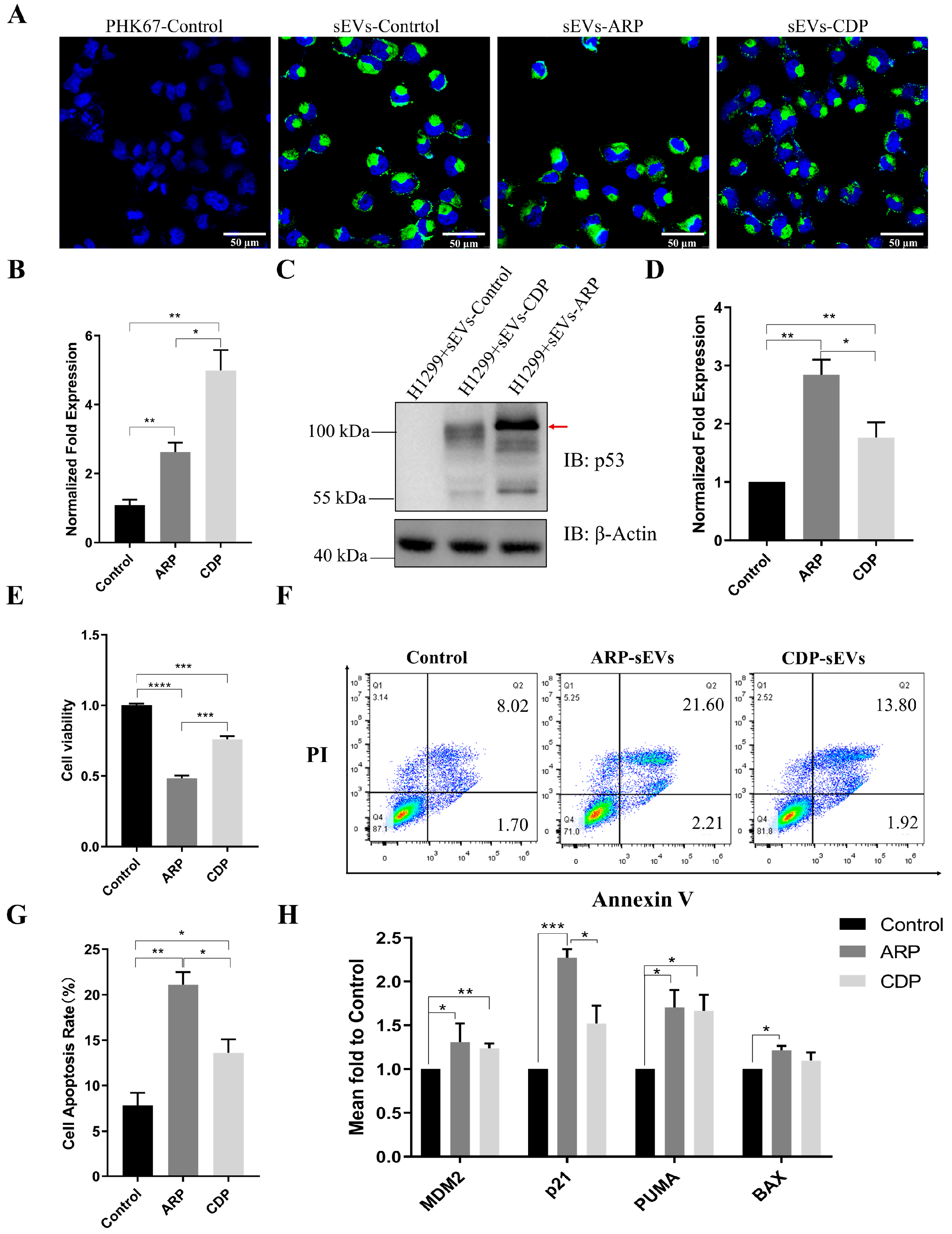 Biomolecules 14 00591 g004