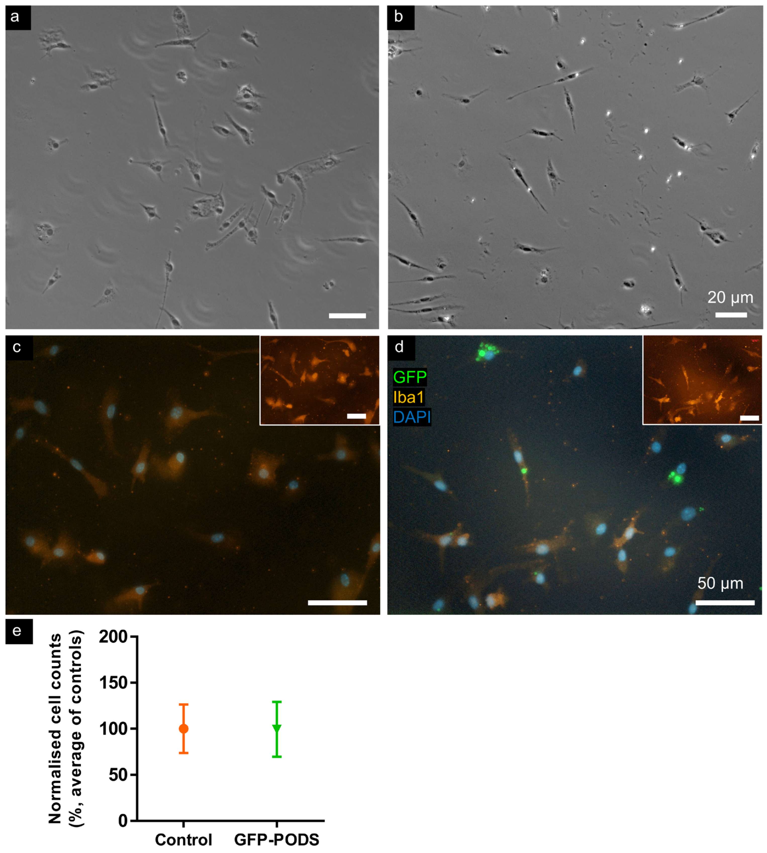 Materials 17 02330 g002