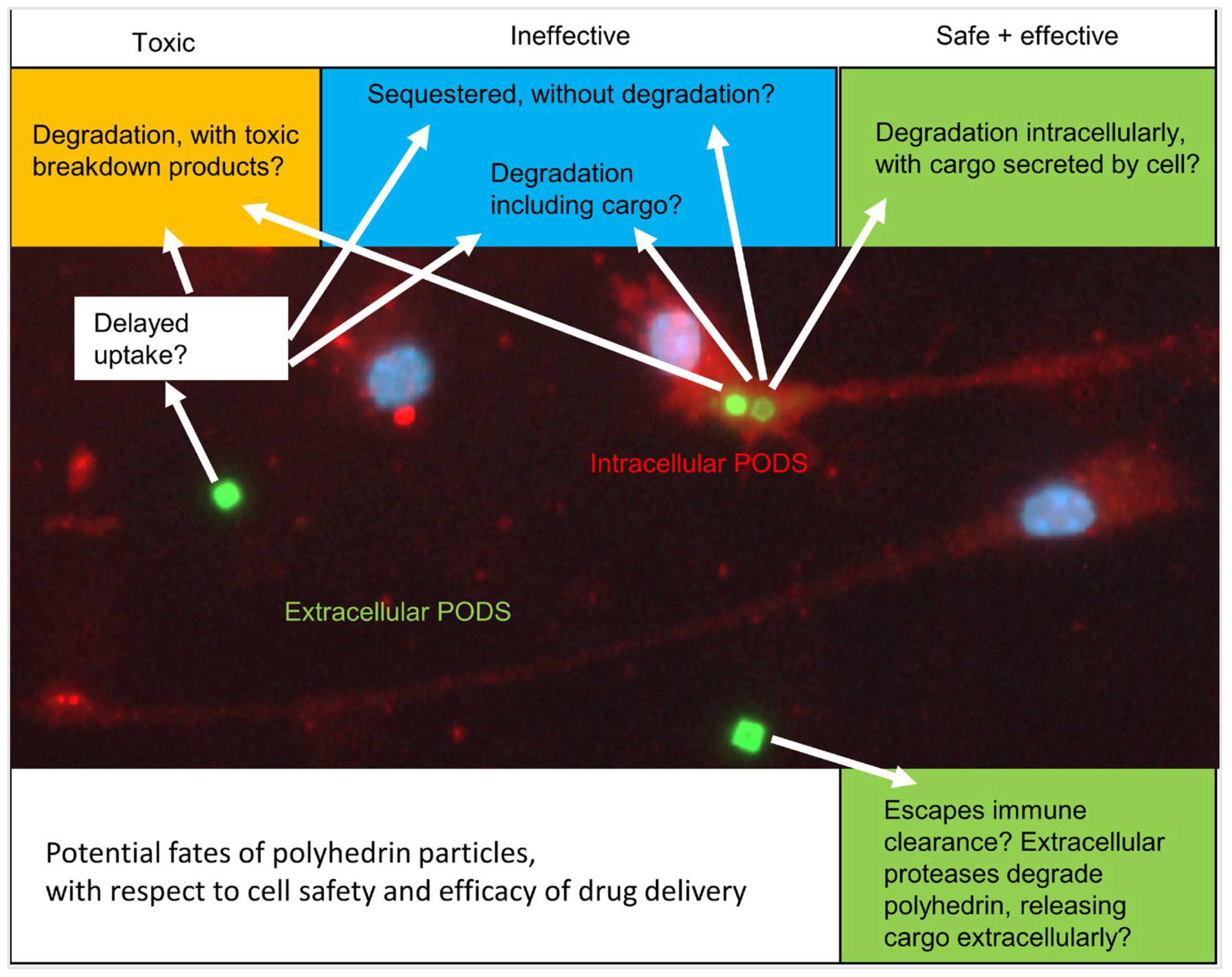 Materials 17 02330 g005