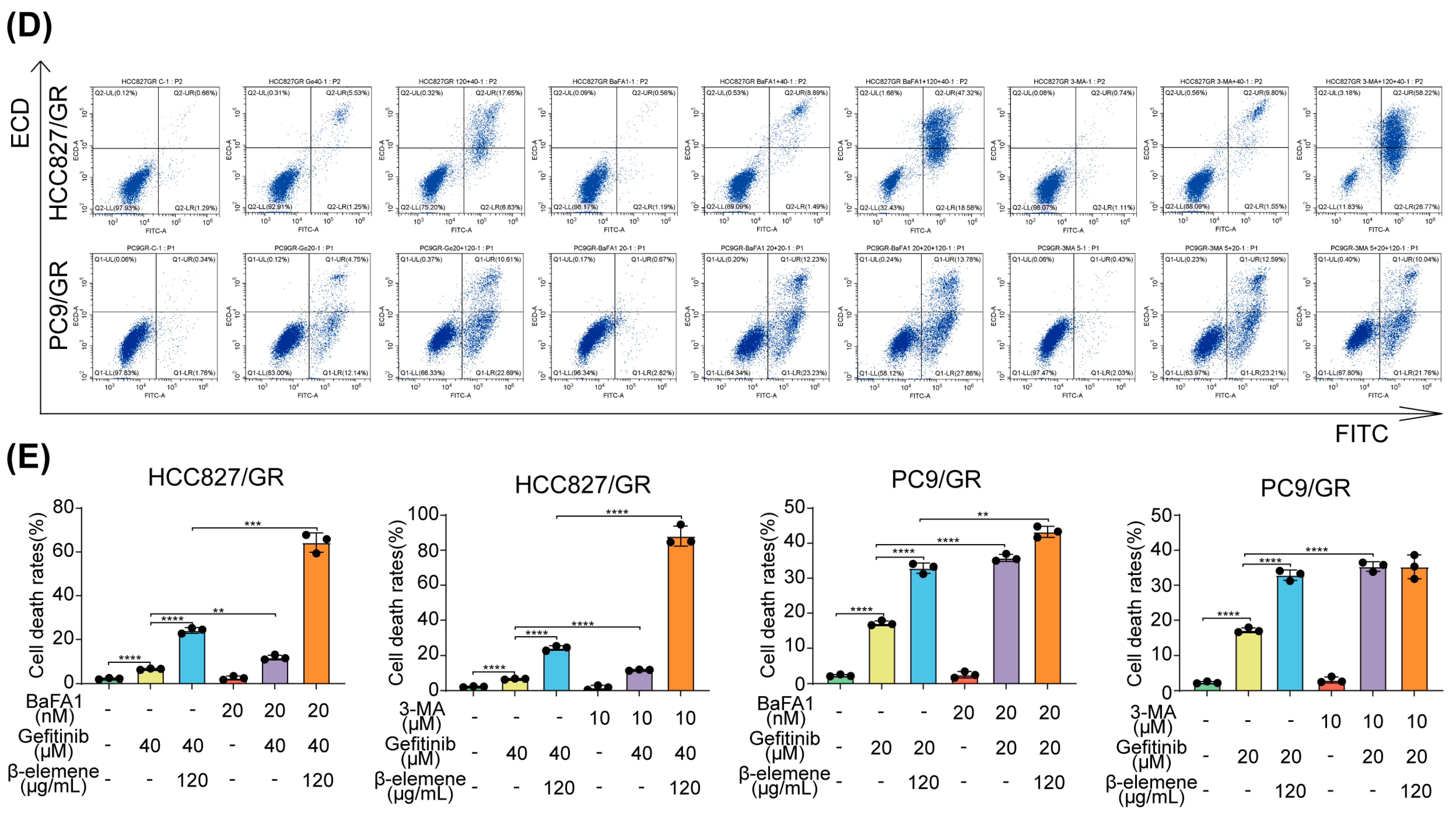 Pharmaceuticals 17 00626 g004b