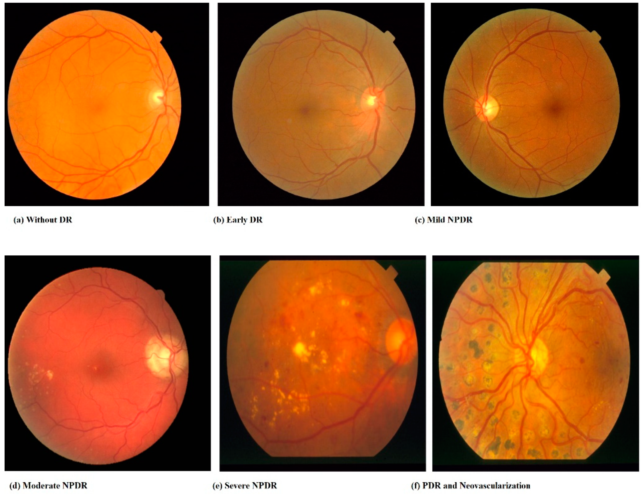 Bdcc 06 00152 g005 Bdcc 06 00152 g005