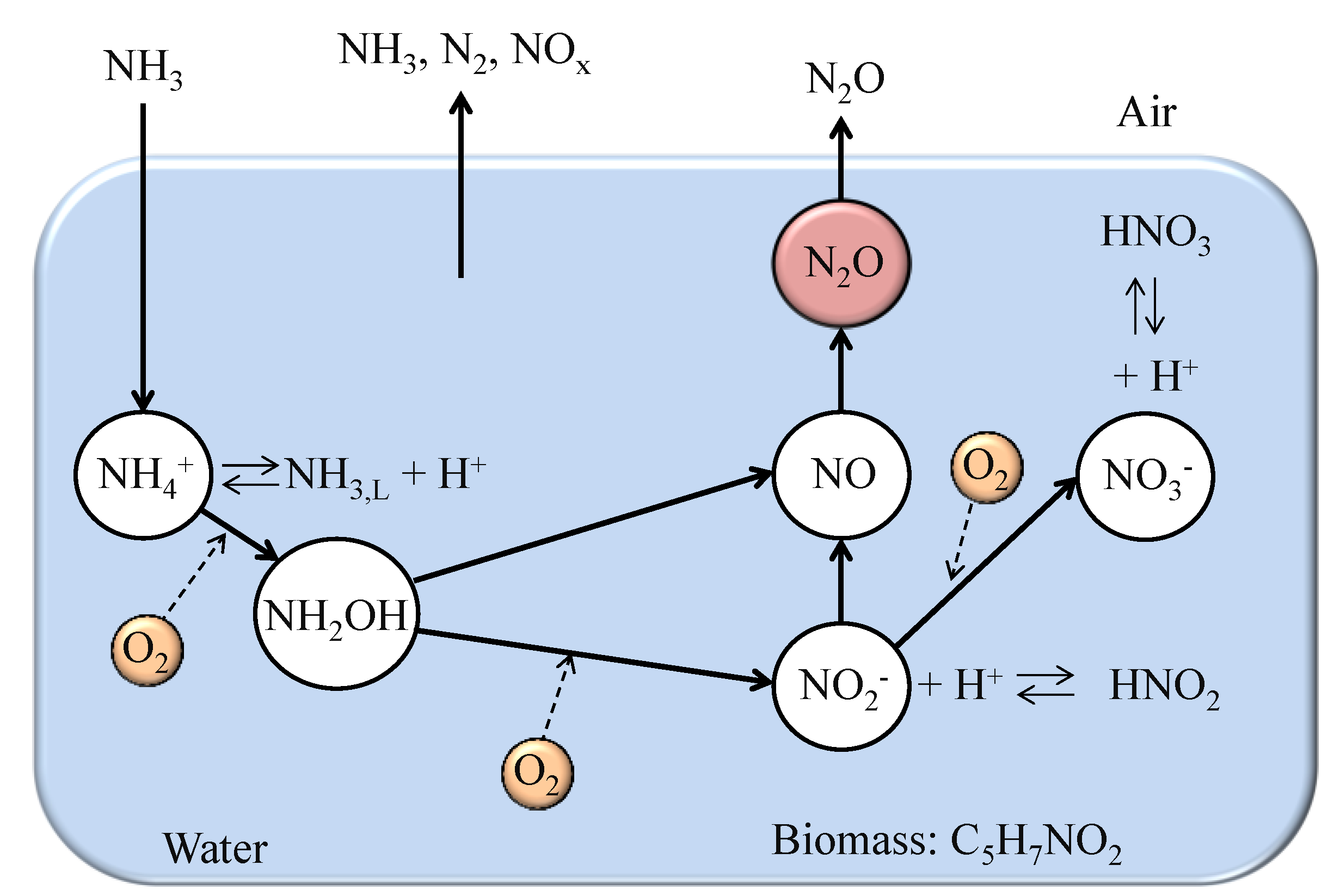 ChemEngineering | Free Full-Text | Ammonia Removal Using Biotrickling ...