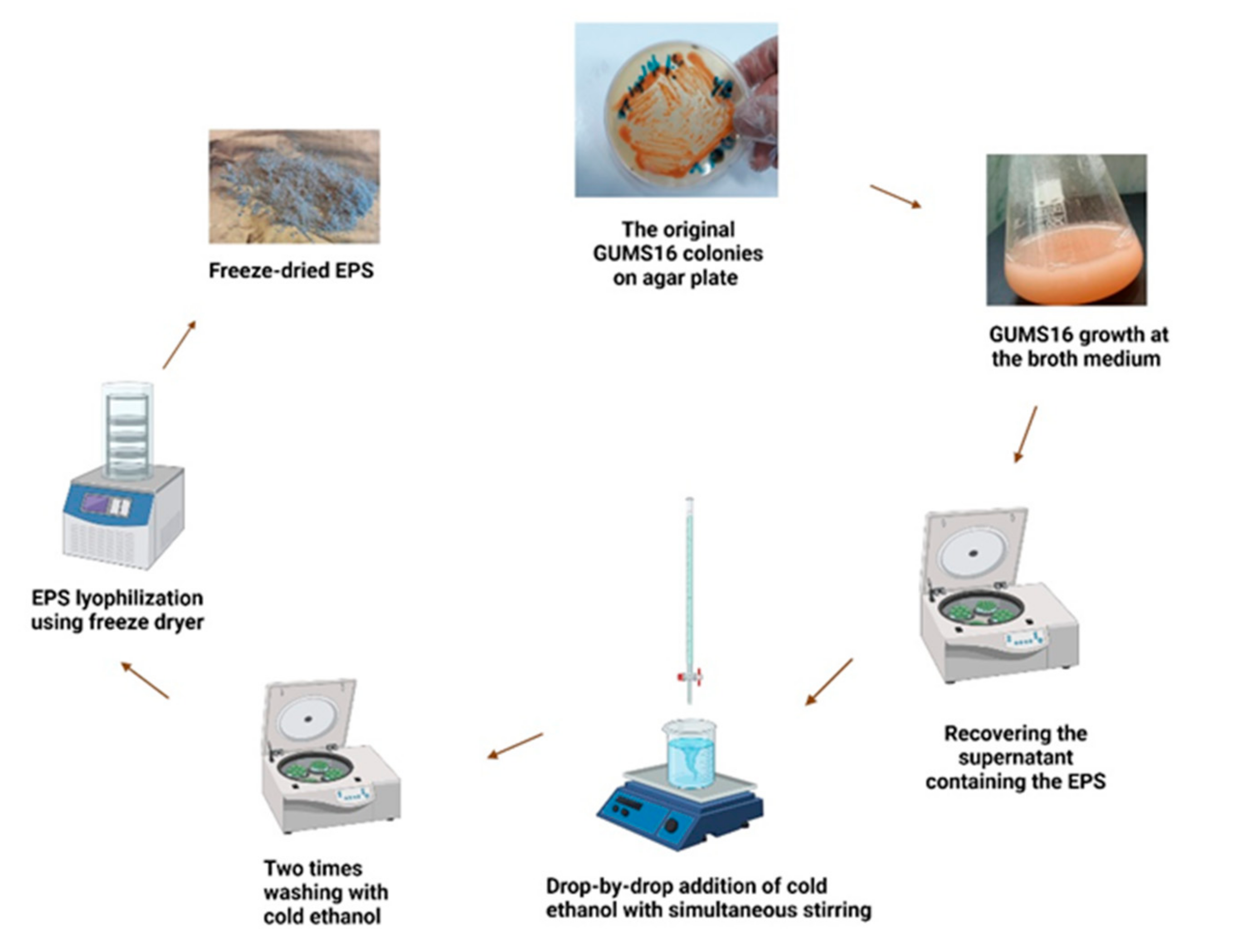 Chemengineering 05 00039 g001