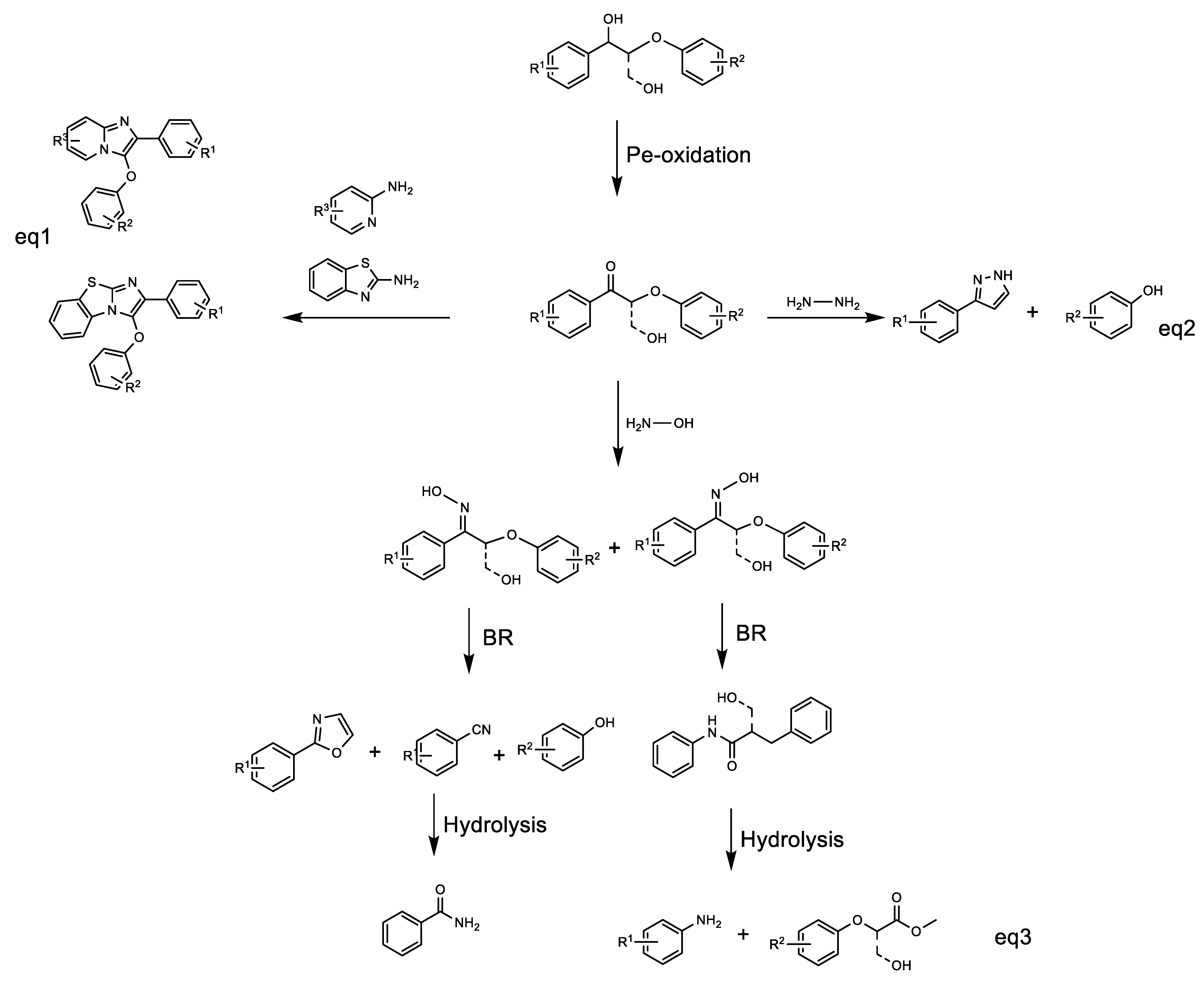 Chemengineering 05 00074 sch002 Chemengineering 05 00074 sch002