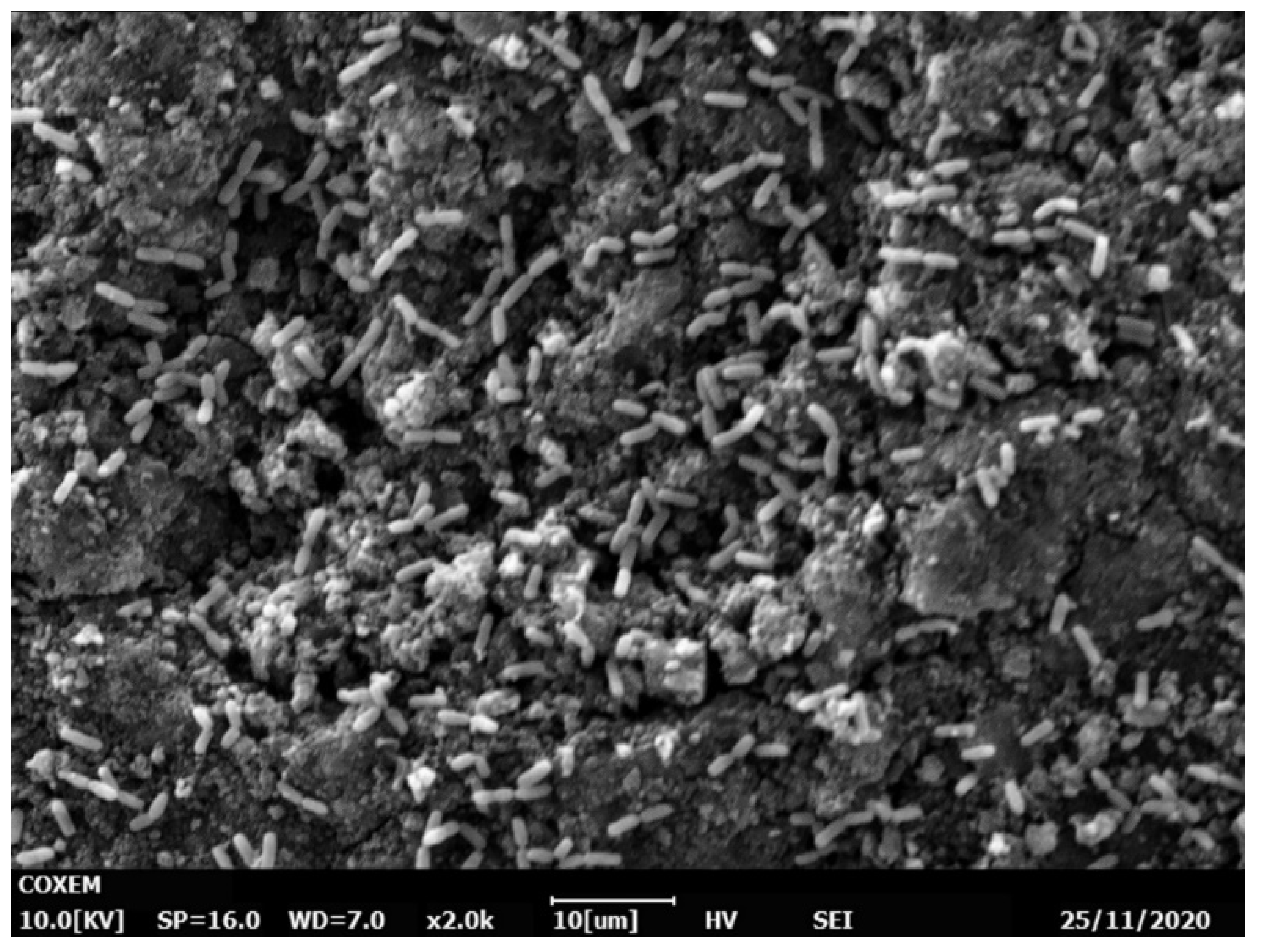 Chemengineering 05 00075 g005