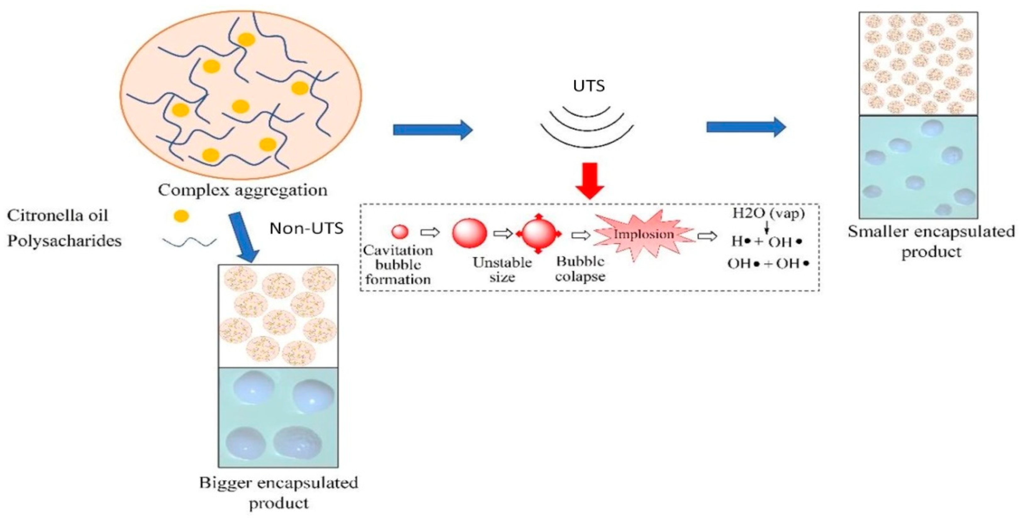 ChemEngineering | Free Full-Text | Ultrasound-Assisted Encapsulation of ...