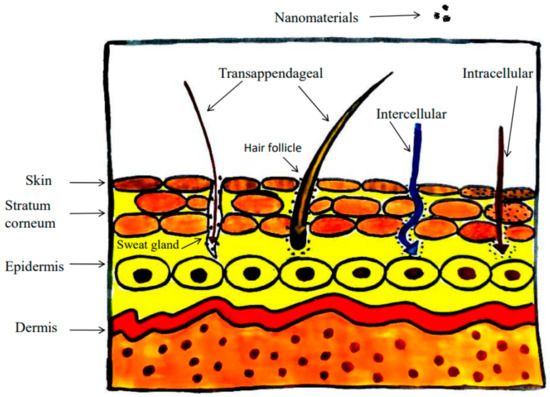 Iron Oxides for Skin: Benefits and How to Use