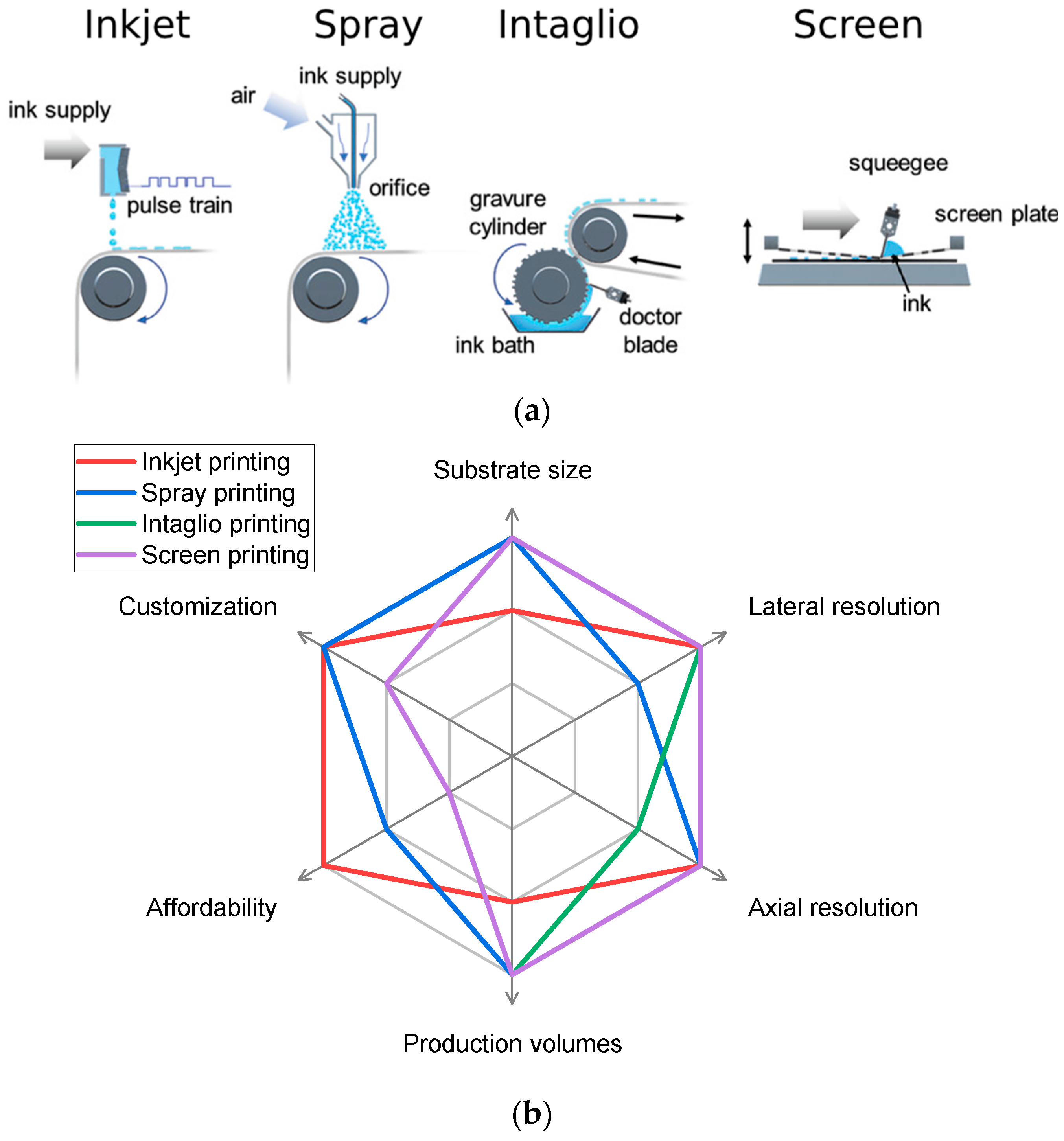 ChemEngineering | Free Full-Text | Inkjet Printing with (Semi)conductive  Conjugated Polymers: A Review