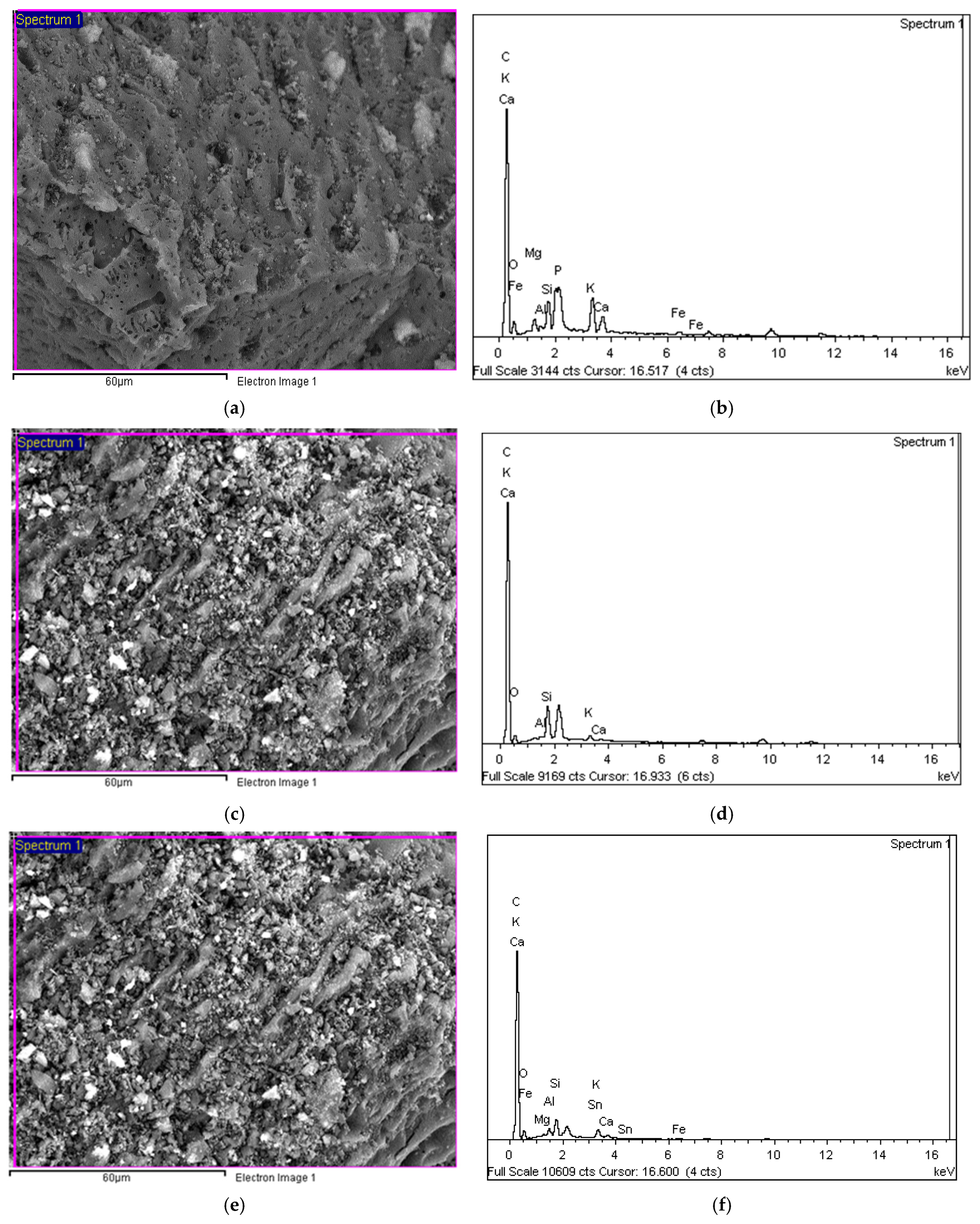 Chemengineering 08 00122 g010