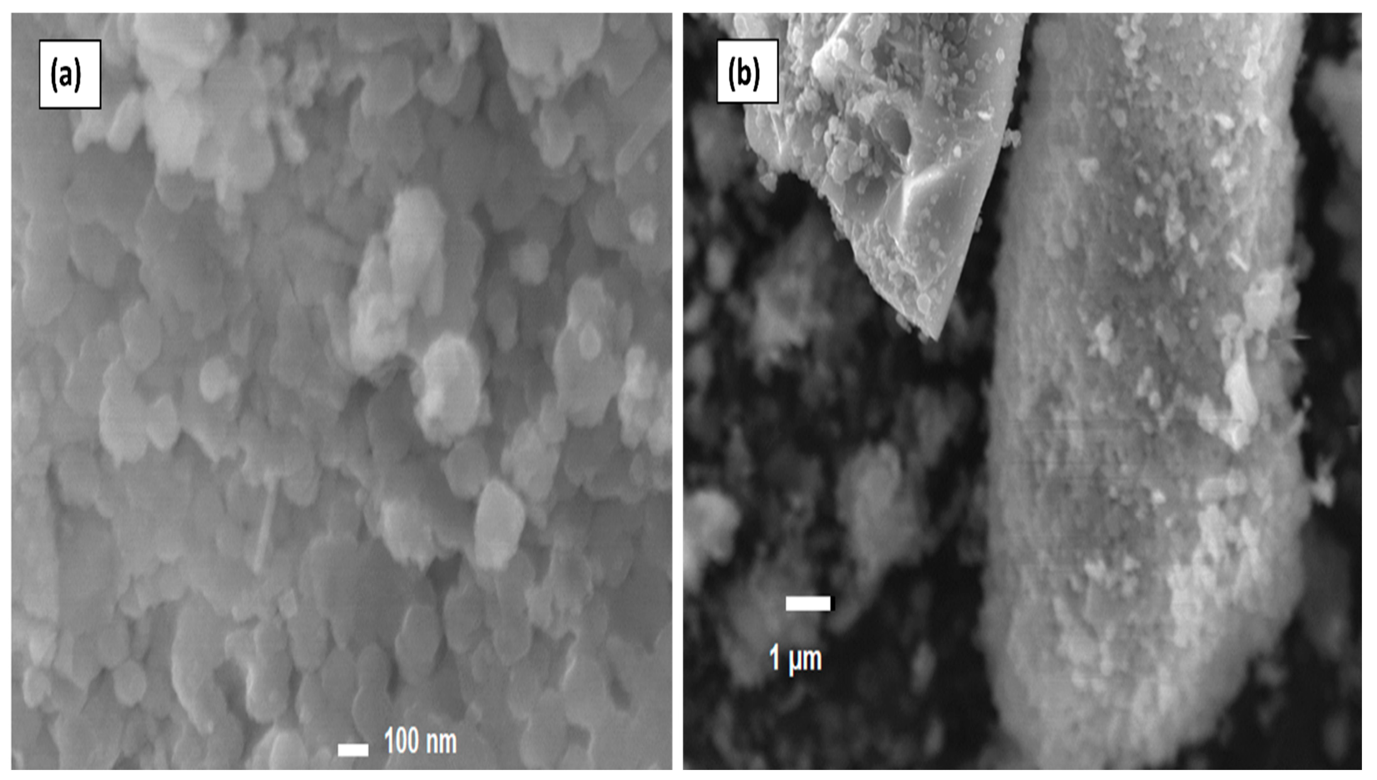 Chemengineering 09 00026 g004