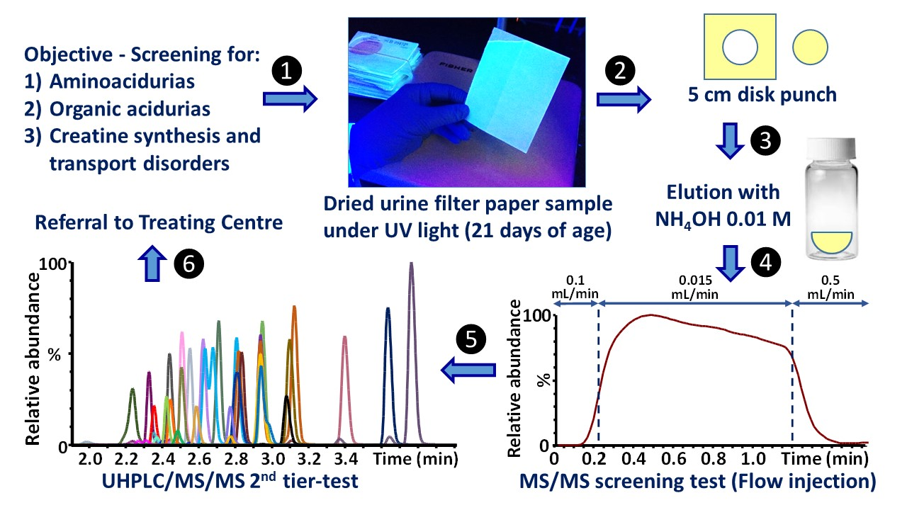 Ijns Free Full Text Neonatal Urine Screening Program In The Province Of Quebec Technological Upgrade From Thin Layer Chromatography To Tandem Mass Spectrometry Html