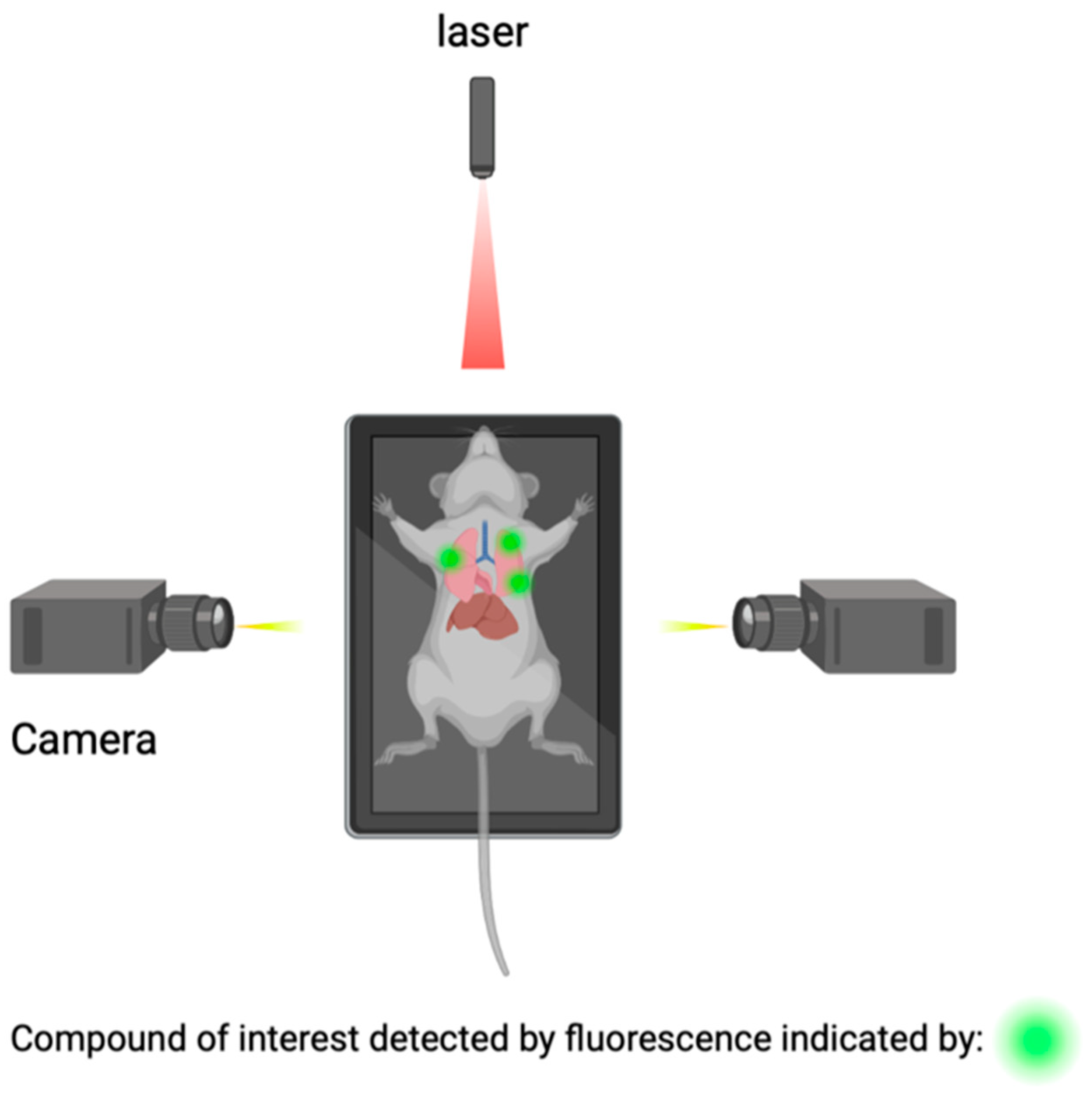 J 06 00031 g005 J 06 00031 g005