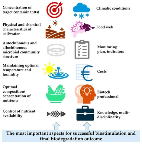 The most important aspects related to the biostimulation approach.