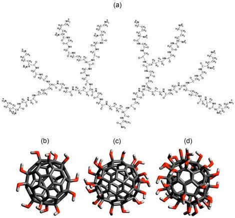 (a) Molecular structures of chemical bonds of Lys-2Gly dendrimer (generation G2) and hydroxylated fullerenes (b) C60(OH)12, (c) C60(OH)24, and (d) C60(OH)36. Carbon atoms and C-C bonds shown by dark gray color, oxygens by red, and hydrogens by light gray.