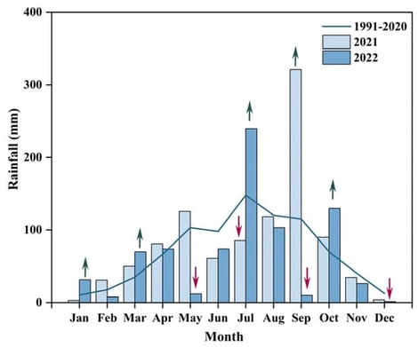 Monthly precipitation during the experimental period compared with the 30-year average precipitation (from TERRACLIMATE, 4 km resolution). Red arrows indicate drought months, while green arrows indicate wetter-than-average months.