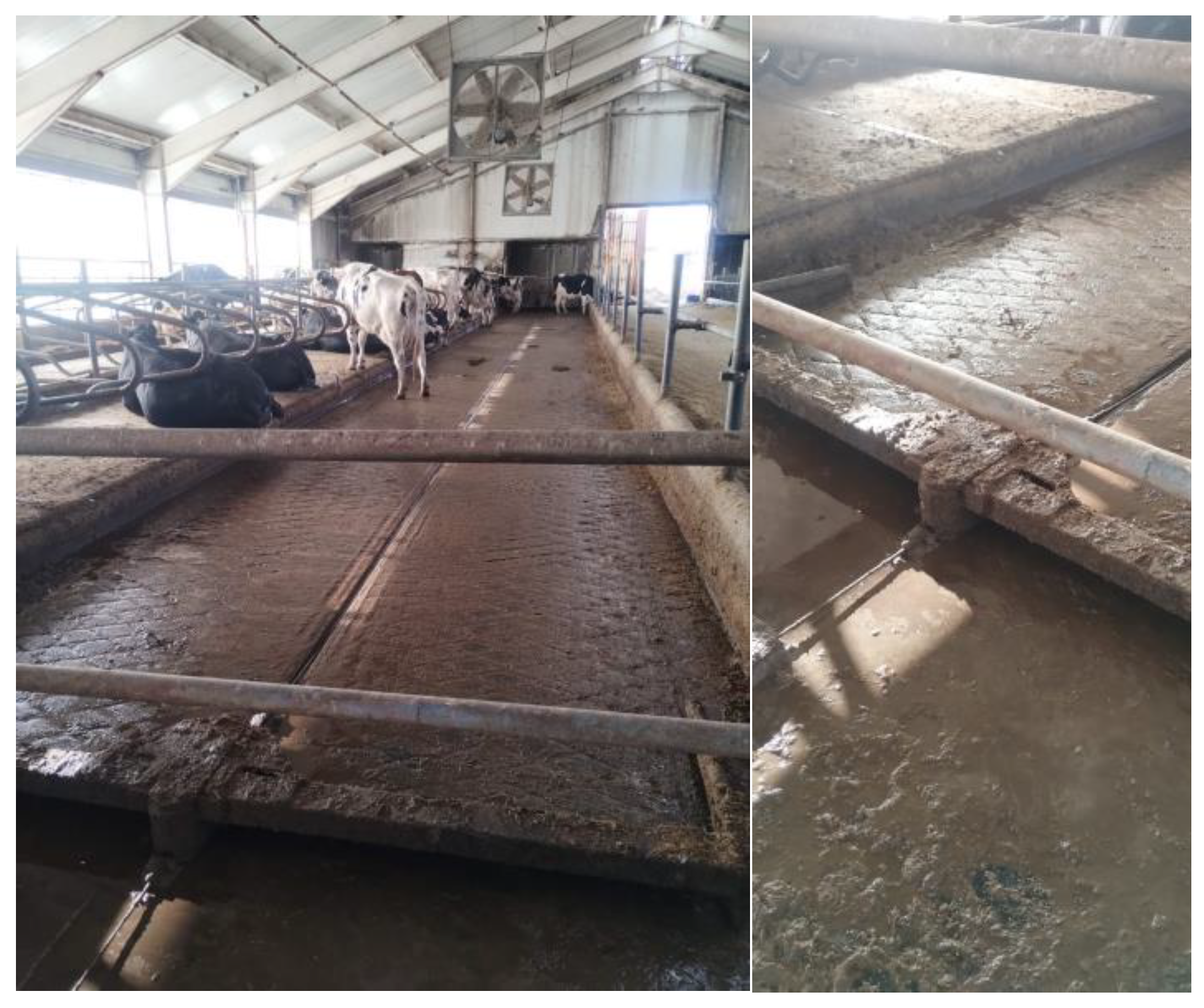 Acoustics 05 00059 g001