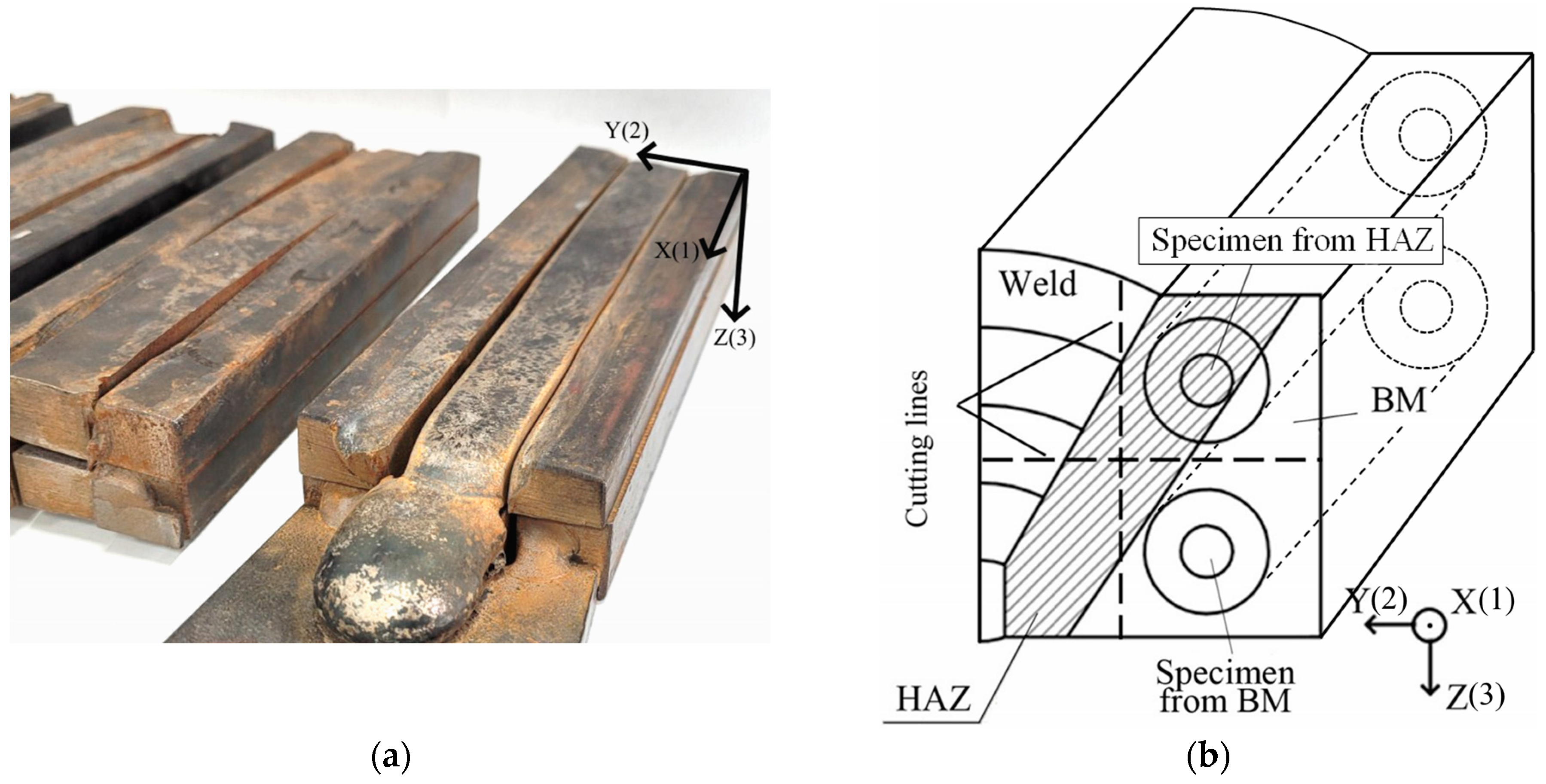 Acoustics 06 00032 g002
