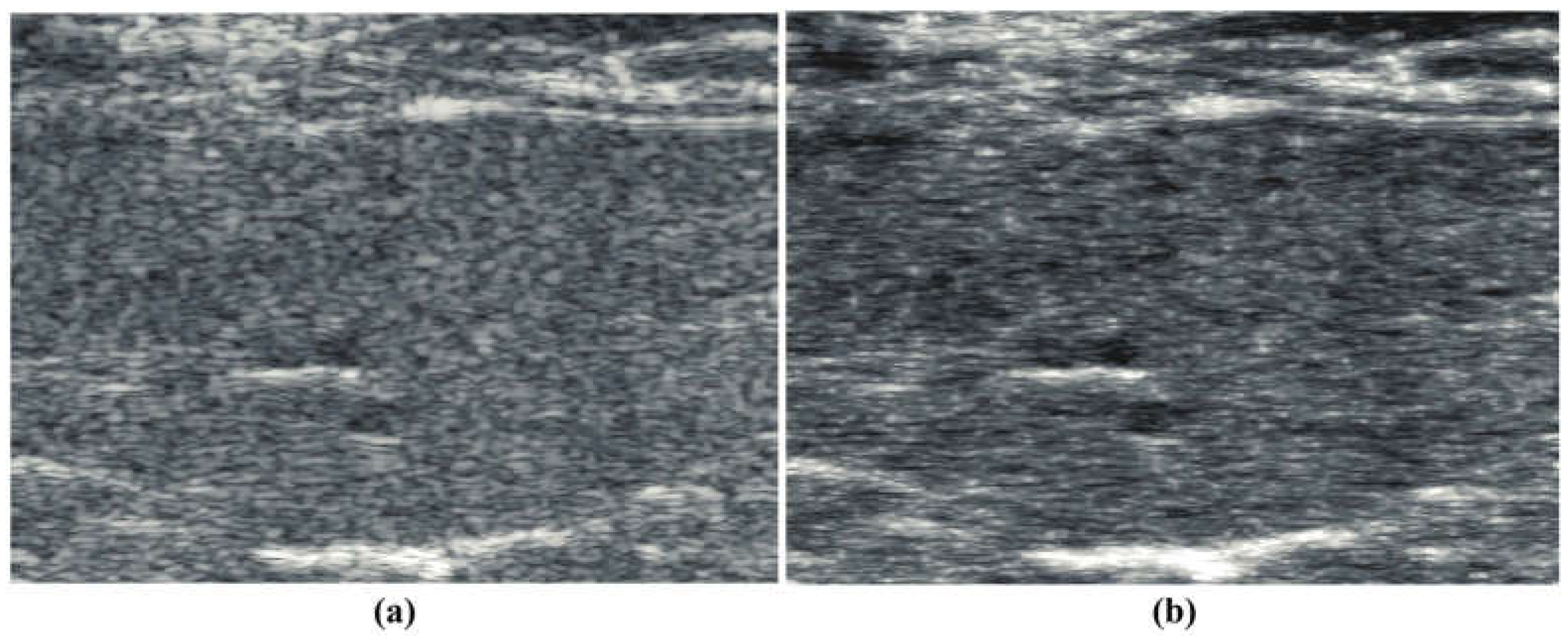 Acoustics 06 00043 g002