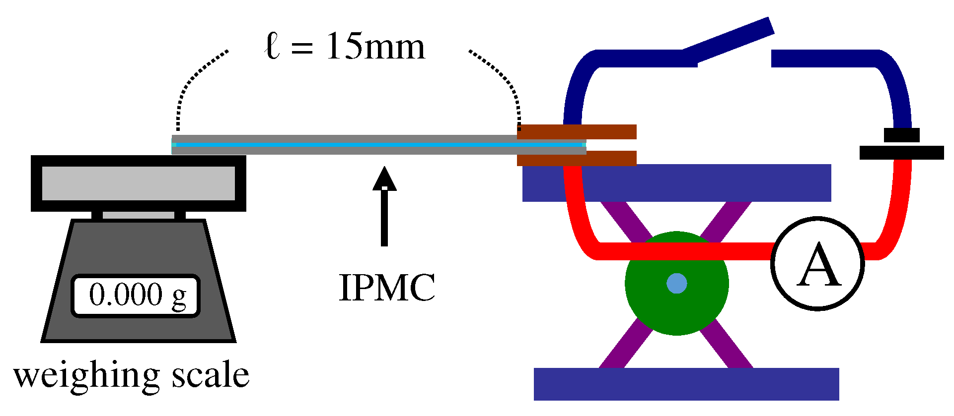 Photograph of the Fabricated IPMC.