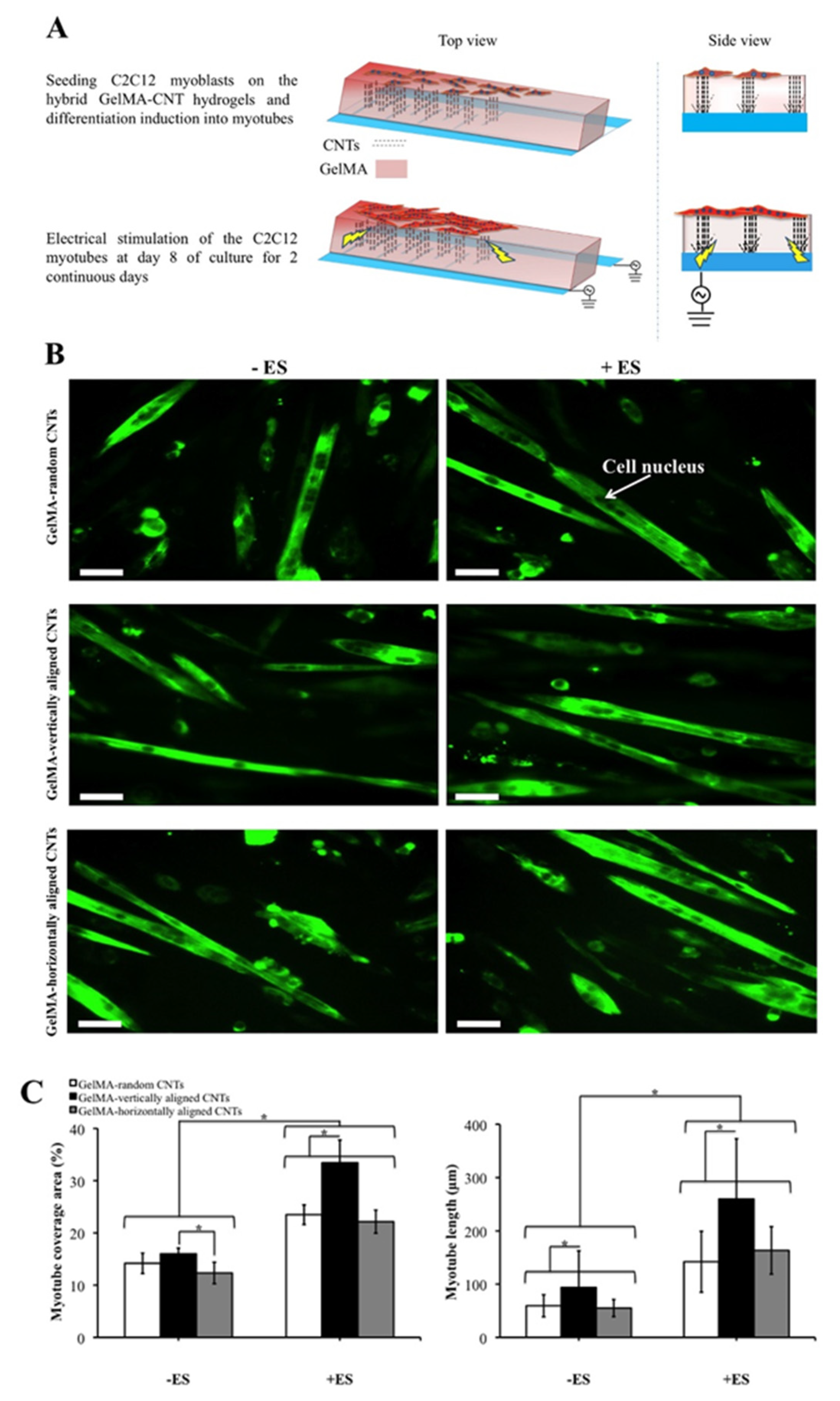 Actuators 09 00137 g001 Actuators 09 00137 g001