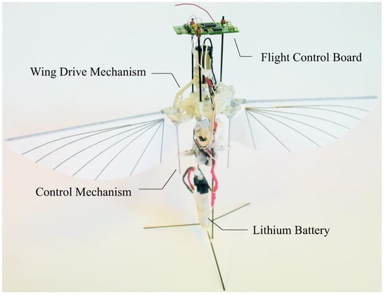 Actuators | Free Full-Text | A Note on the Electromechanical Design of a  Robotic Hummingbird