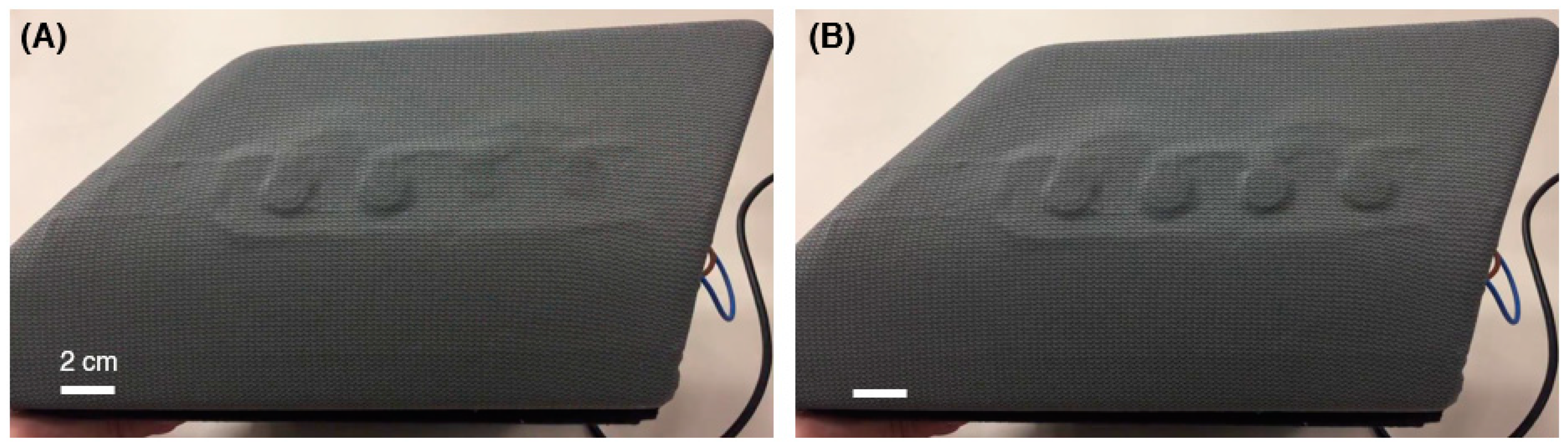 Actuators 10 00251 g013