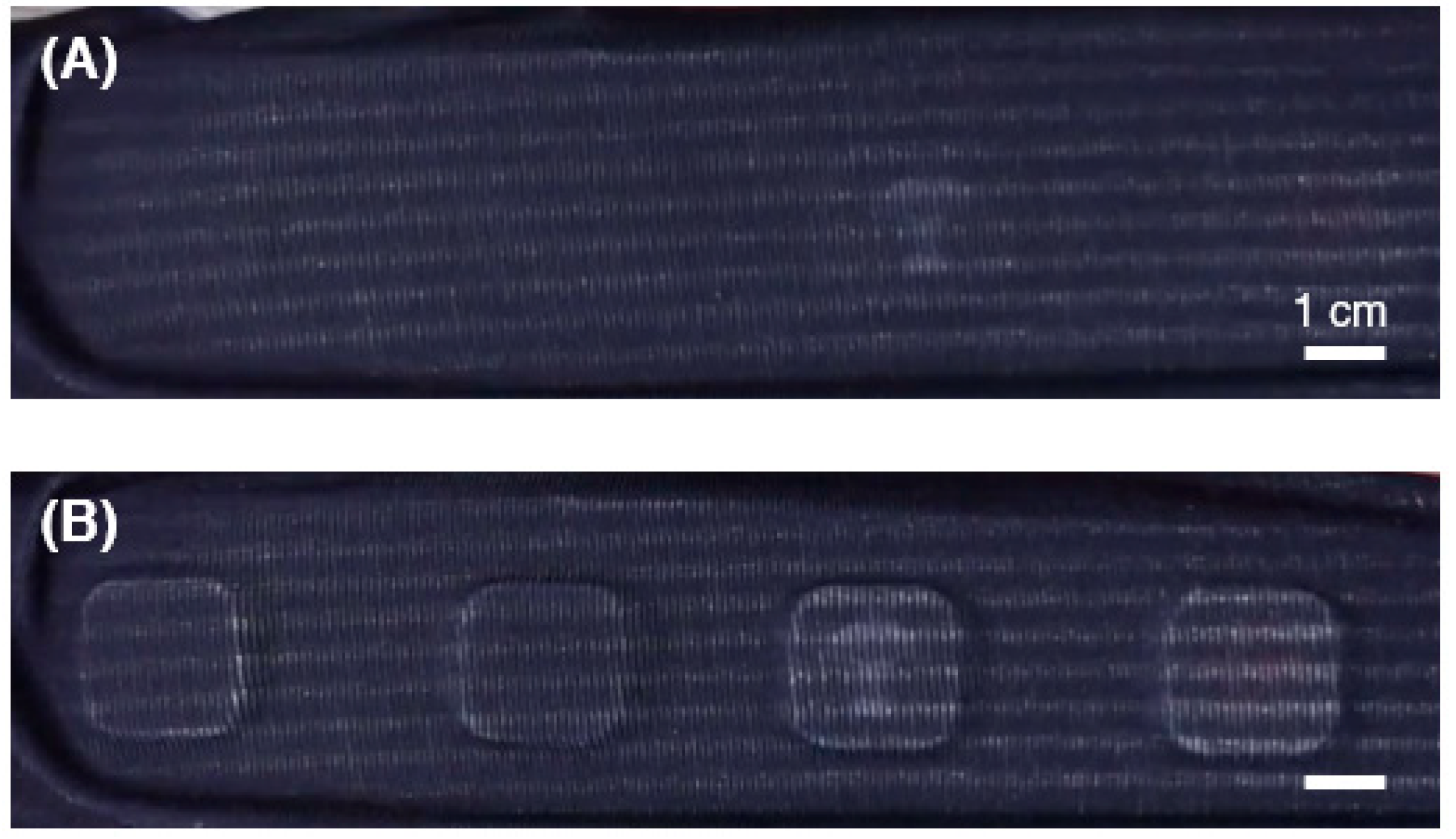 Actuators 10 00251 g015