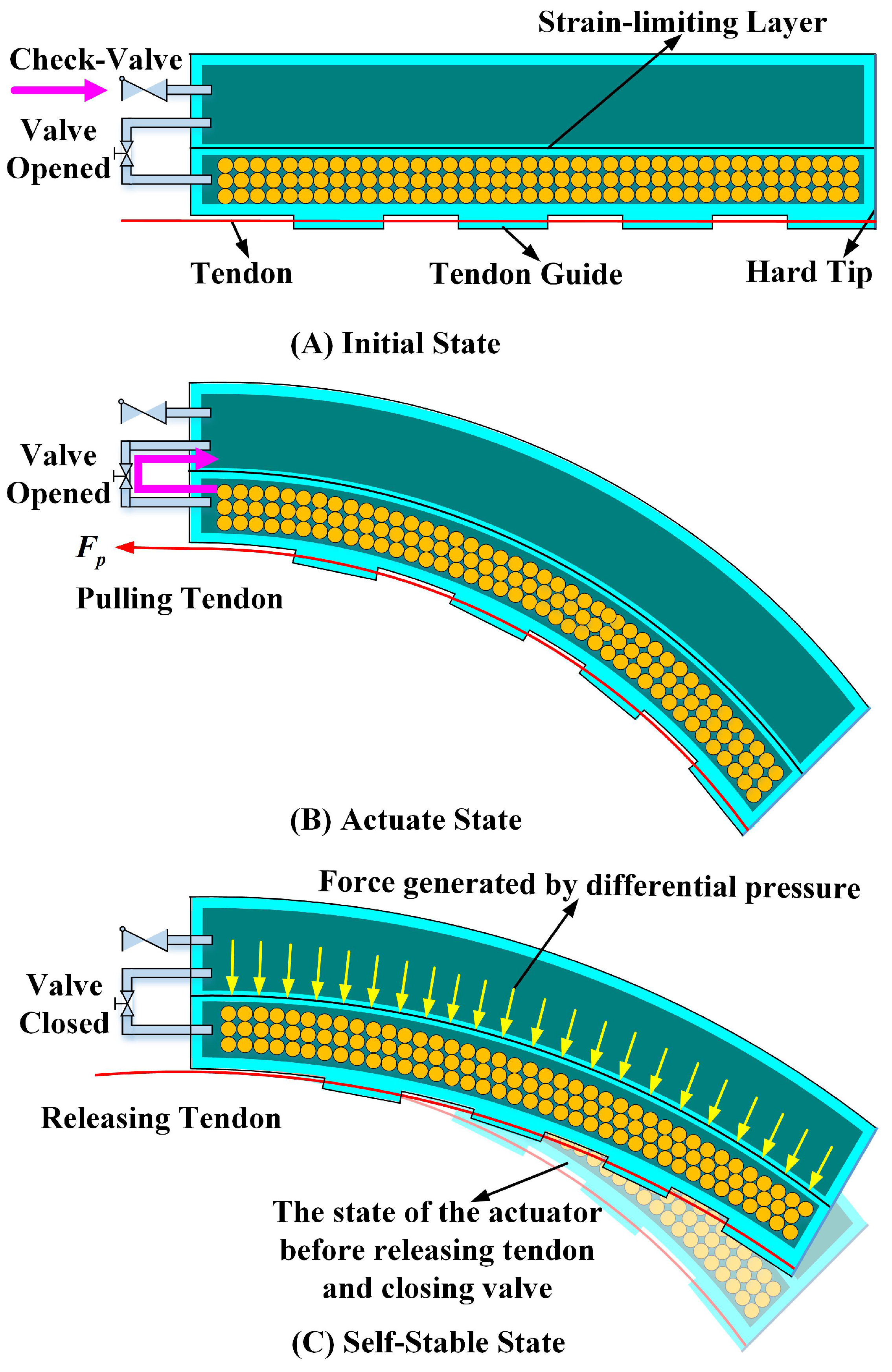 Actuators 11 00107 g001