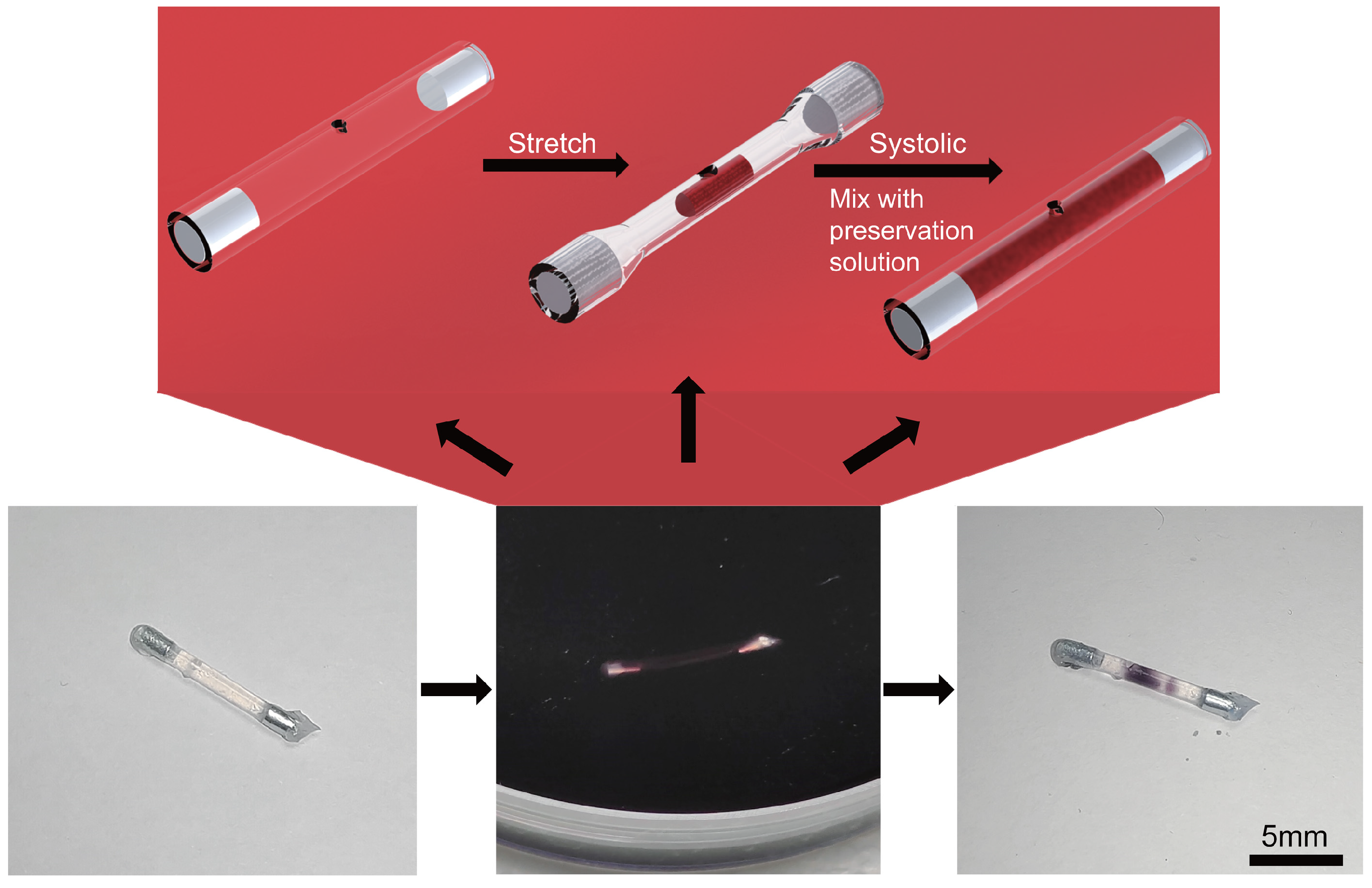 Actuators 11 00269 g010 Actuators 11 00269 g010