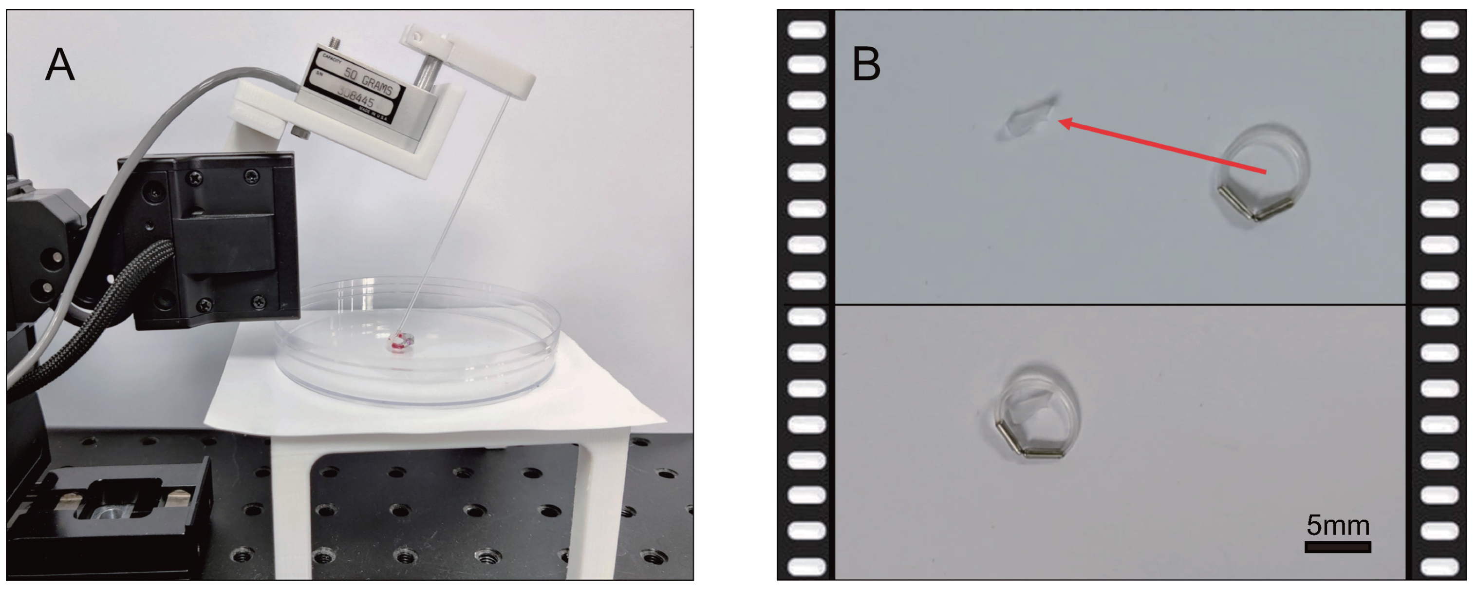 Actuators 11 00269 g013 Actuators 11 00269 g013