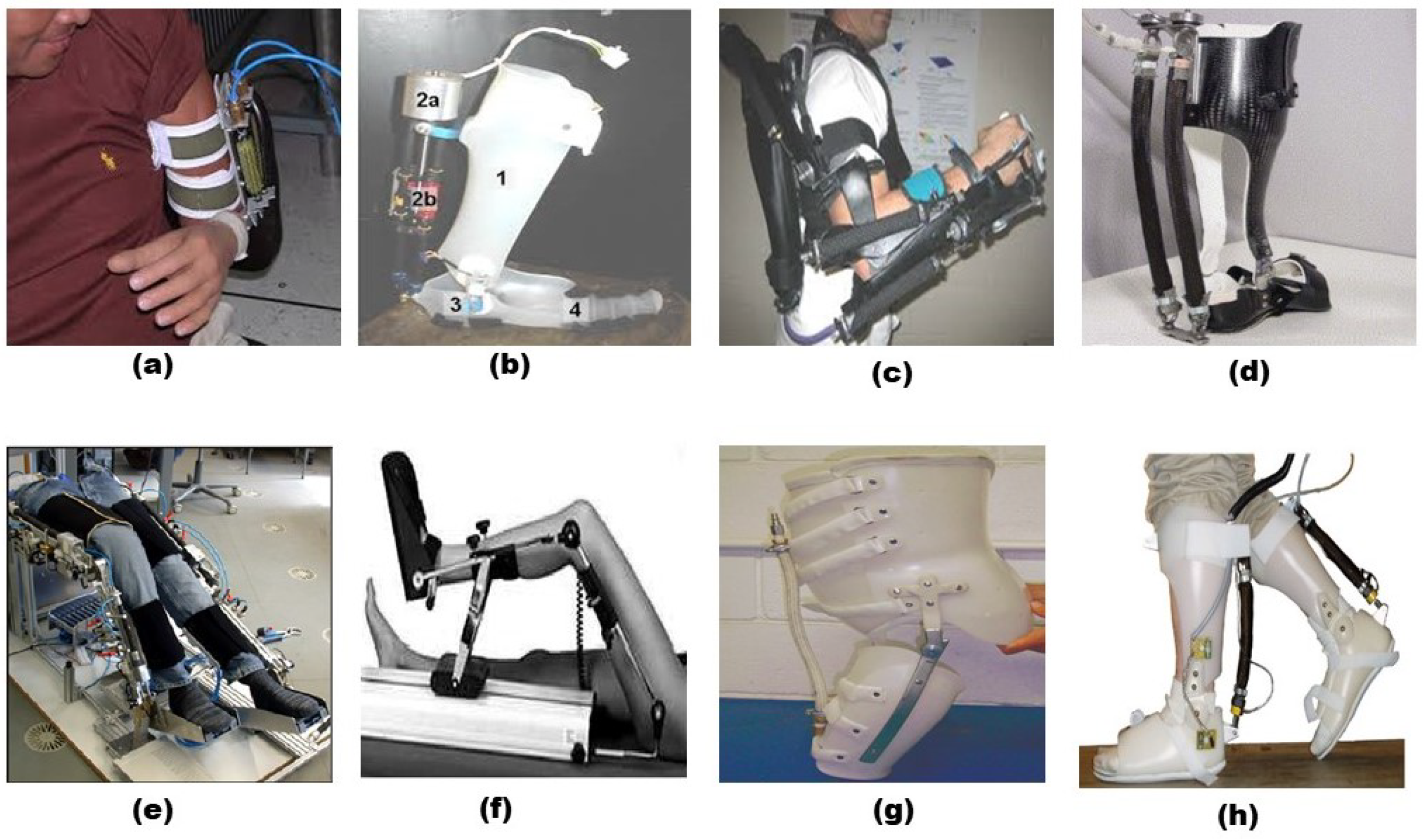 Development of Active Lower Limb Robotic-Based Orthosis and