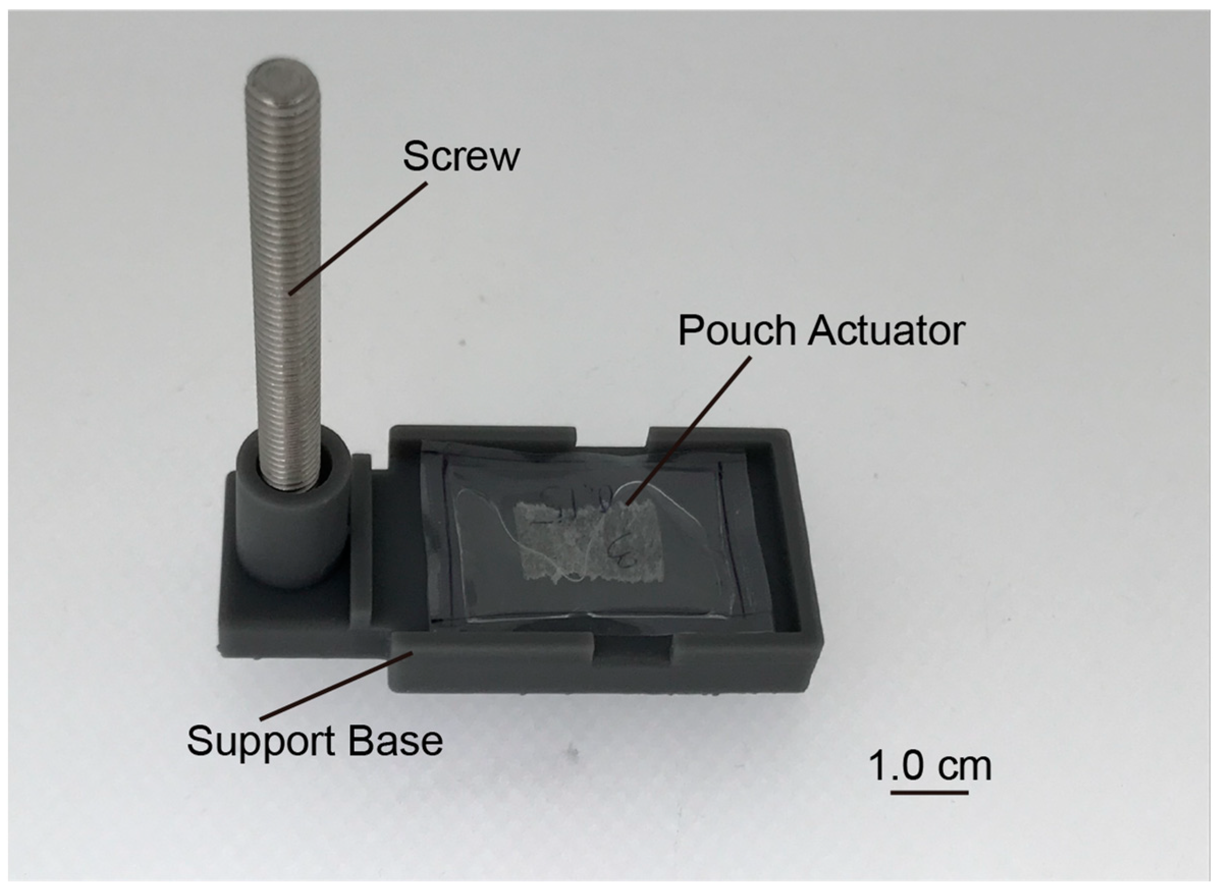 Actuators 12 00051 g004